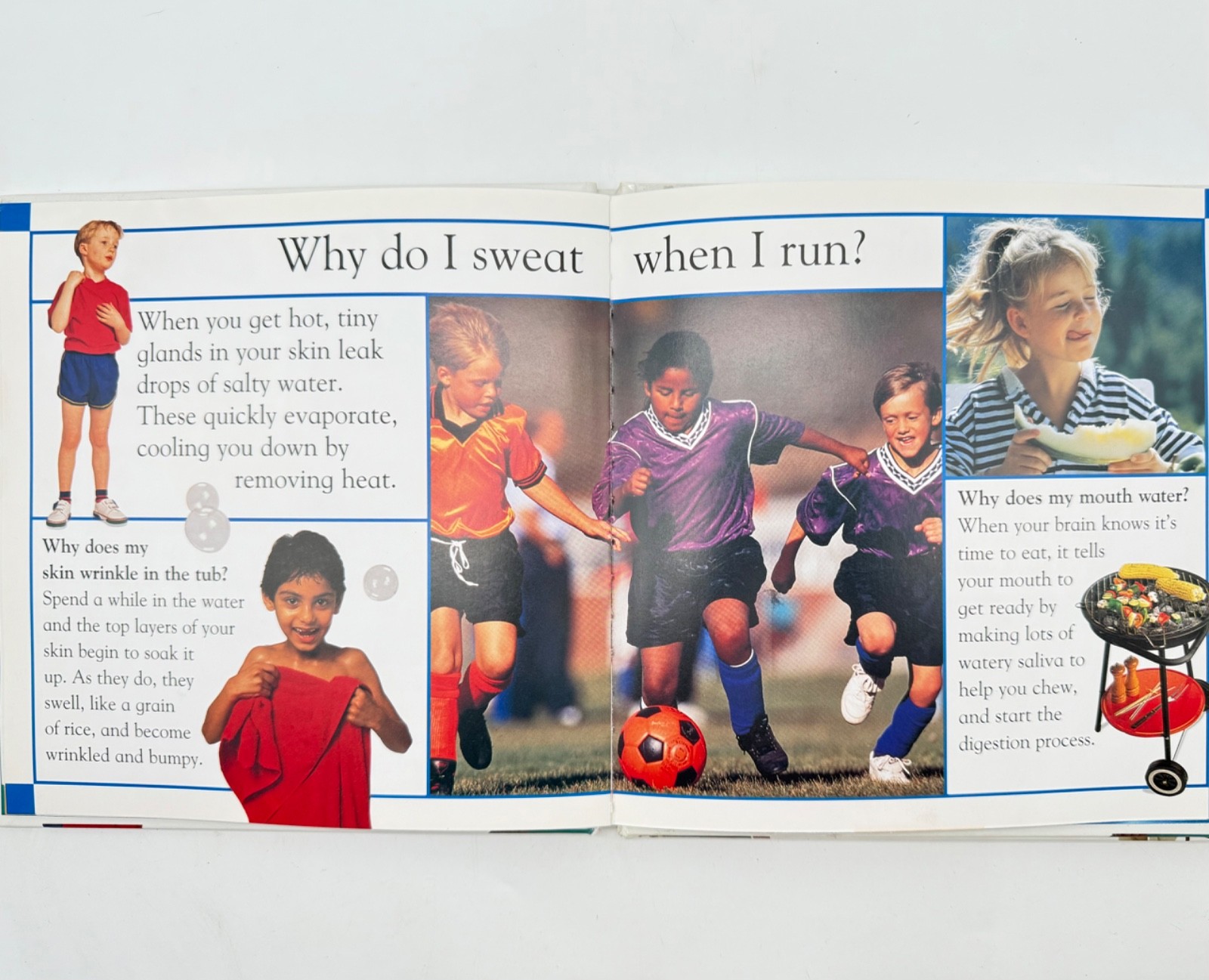 Set of 2~ Why? Questions Children Ask Children Books Series DK Publishing