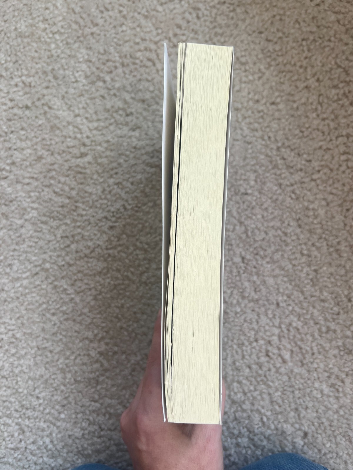 Beautiful Disguise by Roseanna M. White (2023, Trade Paperback)