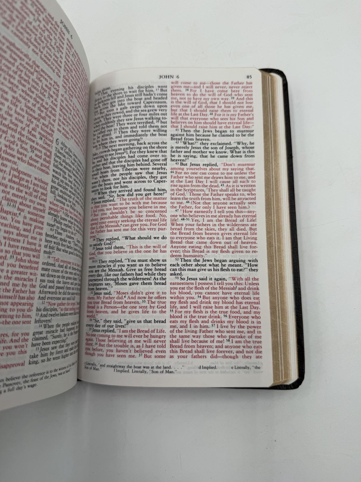 VTG The Catholic Living Bible Red Letter 1976 Leather 9th Print Tyndale 2363-2