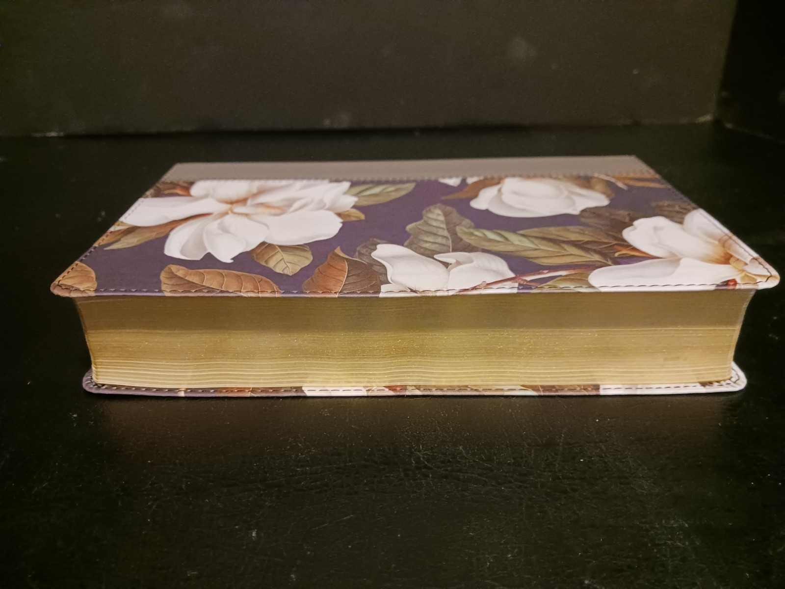 Tyndale KJV Personal Giant Print Bible Filament-Enabled Leatherlike Magnolia