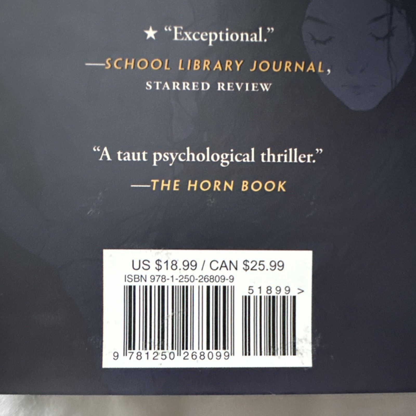 What Beauty There Is by Cory Anderson Hardcover Roaring Brook Press YA Thriller