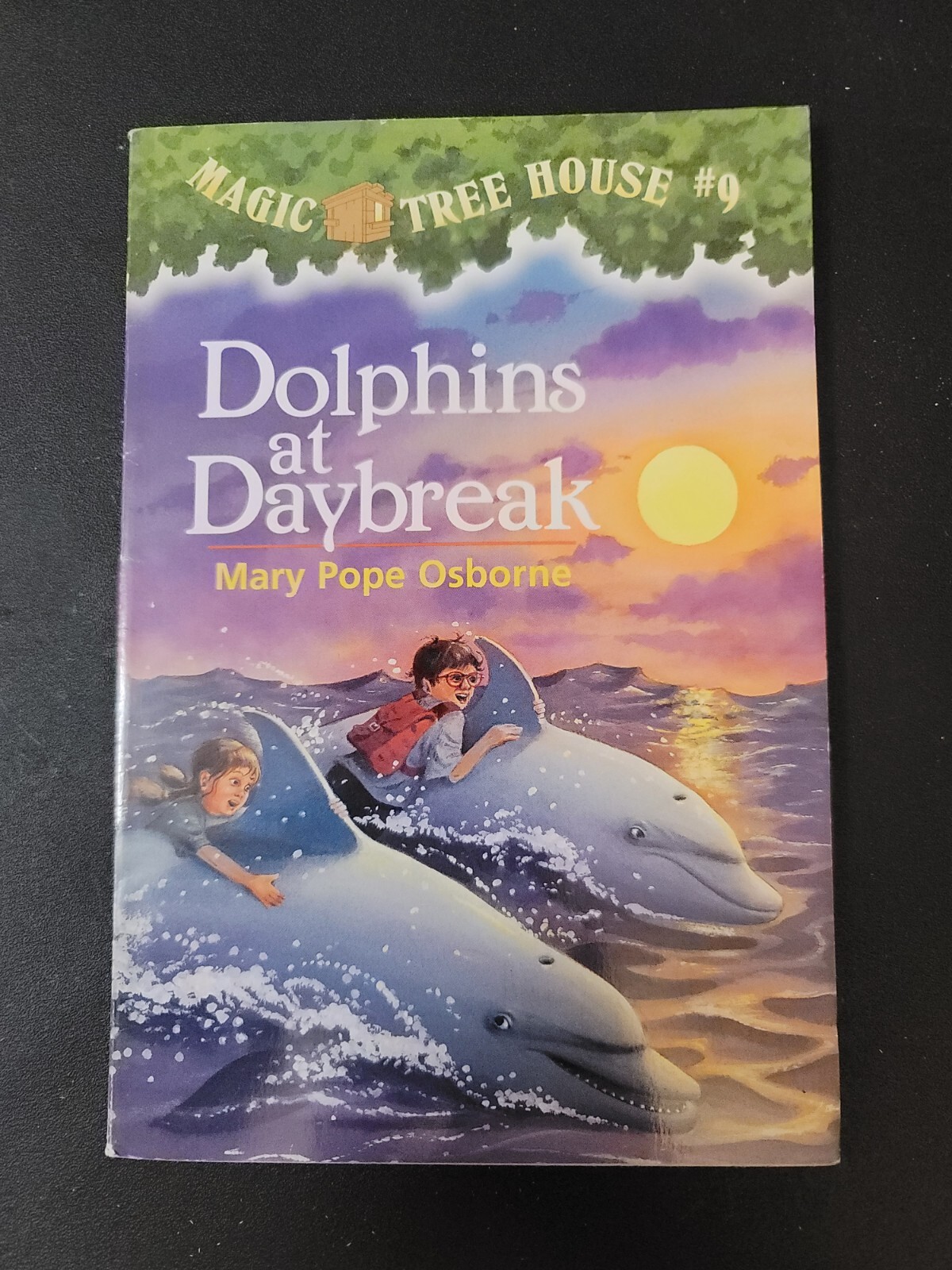 Dolphins At Daybreak (A Magic Treehouse Book #9)
