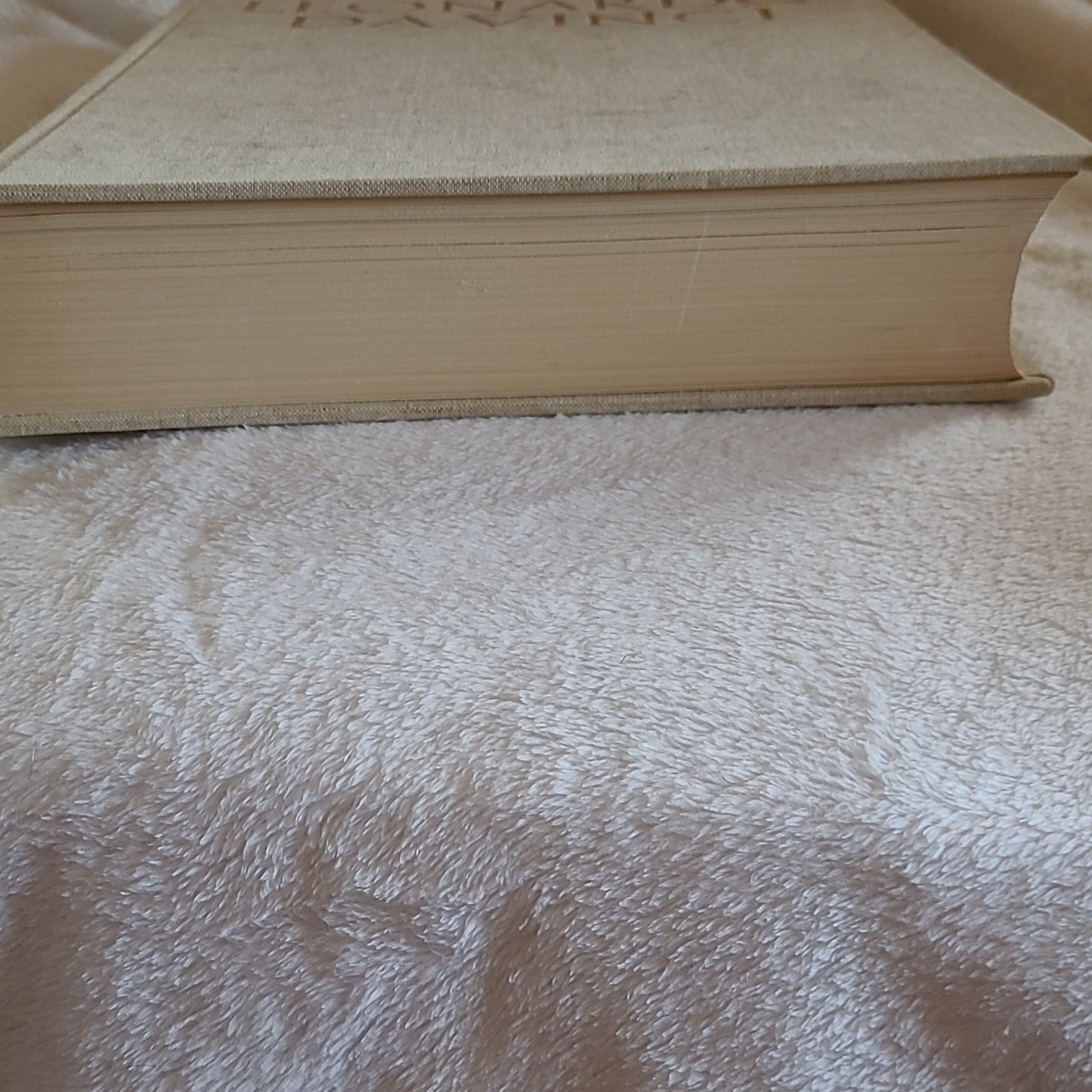 Leonardo Da Vinci Illustrated Hardcover Picture Book Reynal & Company 1956