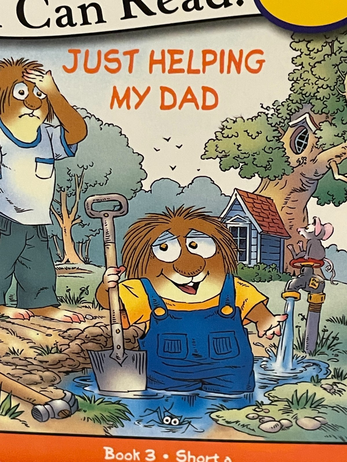 I Can Read Phonics Berenstain Bears (12) & Little Critter (12) 24 Books