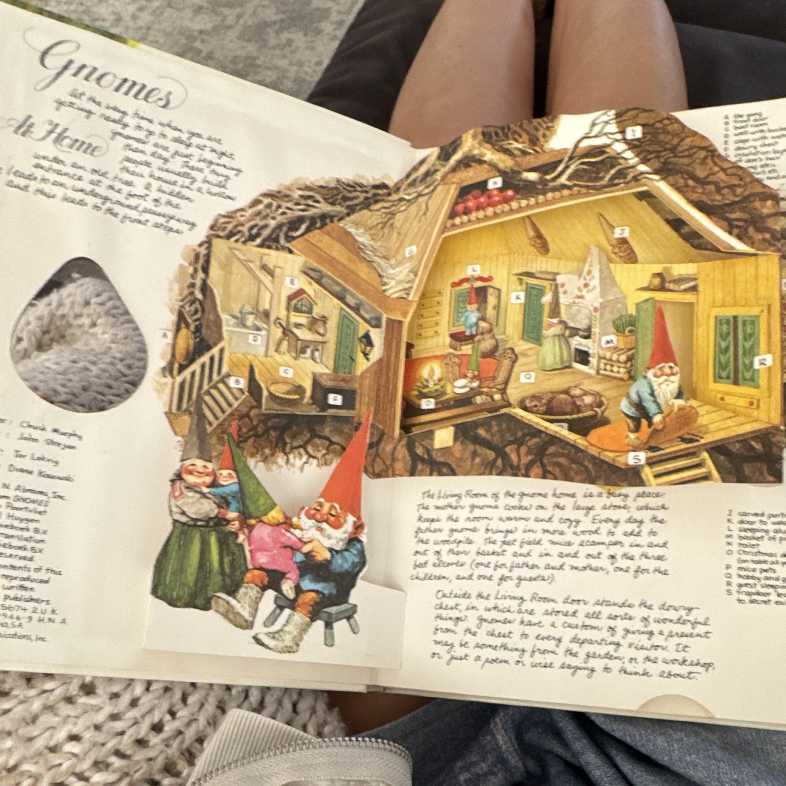 Harry N. Abrams The Pop-Up Book of Gnomes Pop-Up Illustrated Hardcover 1979