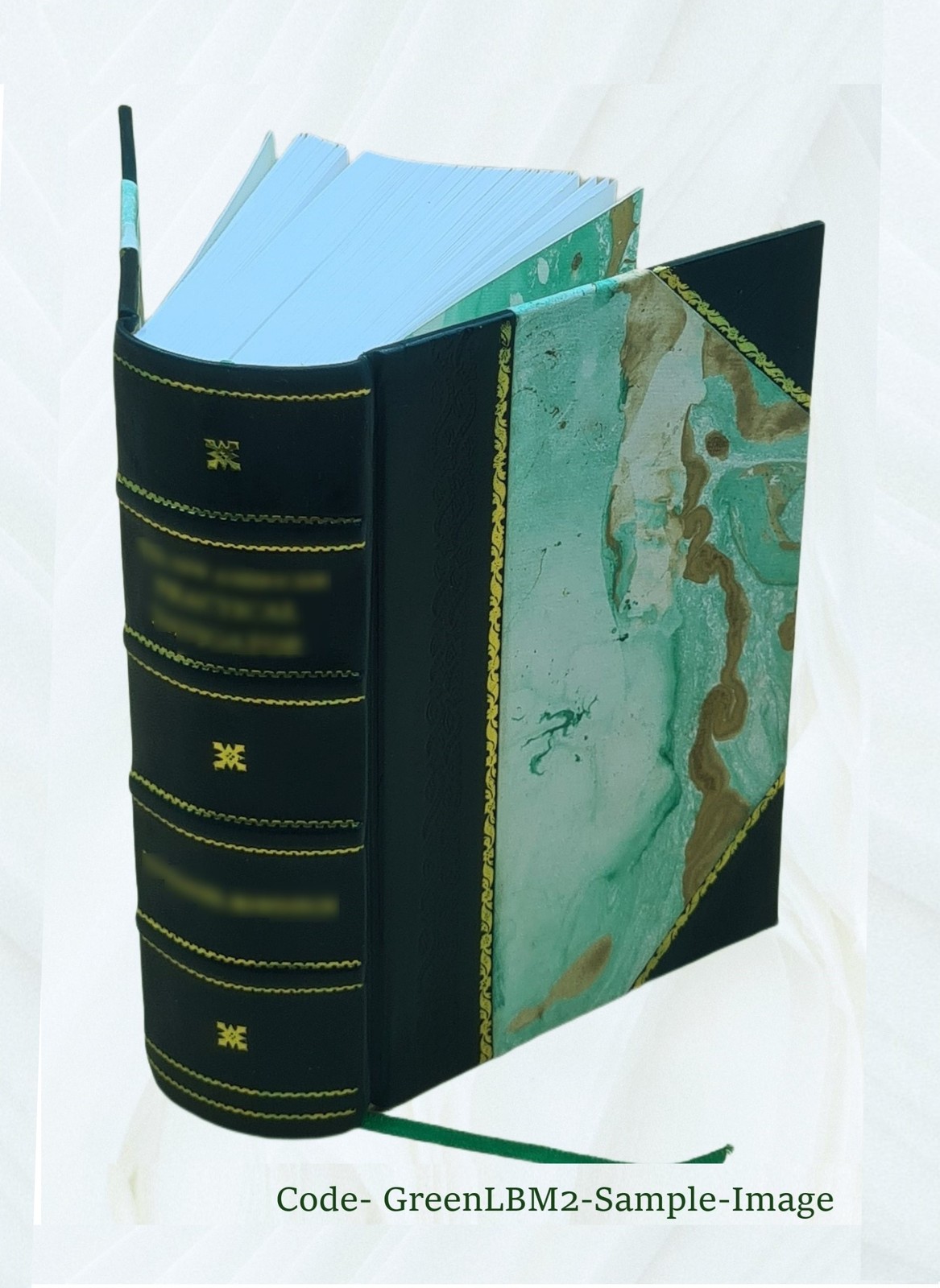 Die Petrefactenkunde auf ihrem jetzigen Standpunkte durch die Be [Leather Bound]