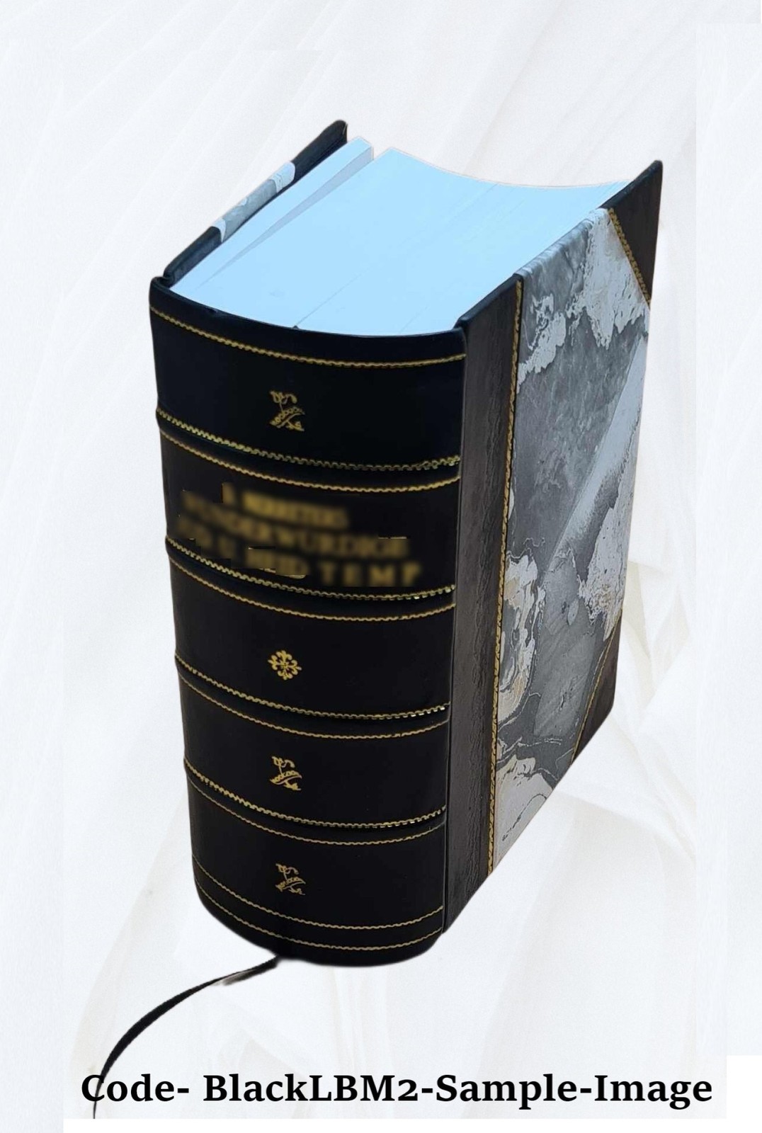 Die Petrefactenkunde auf ihrem jetzigen Standpunkte durch die Be [Leather Bound]