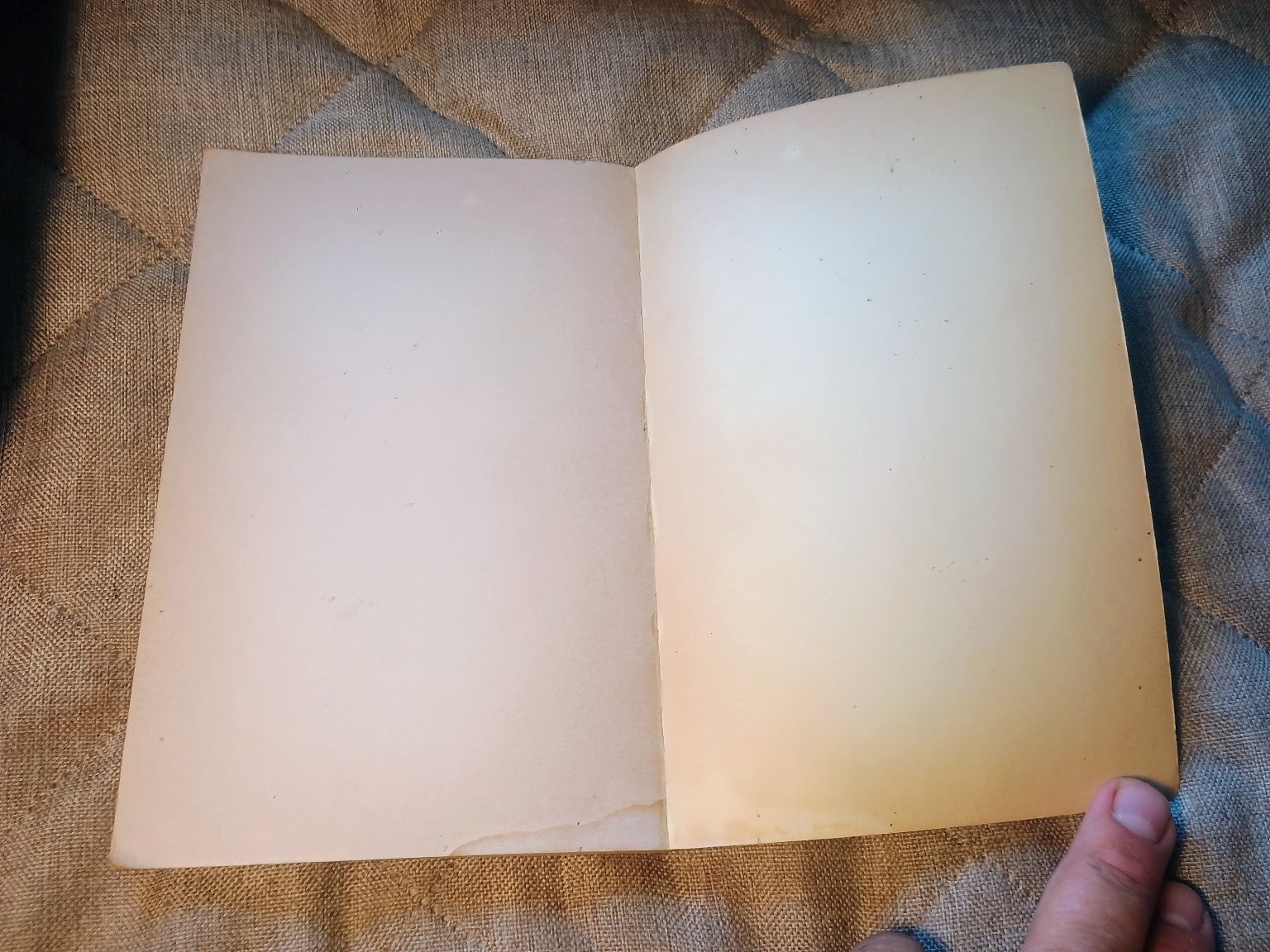 The Will to Meaning Viktor Frankl 1970 Plume Psychology Paperback