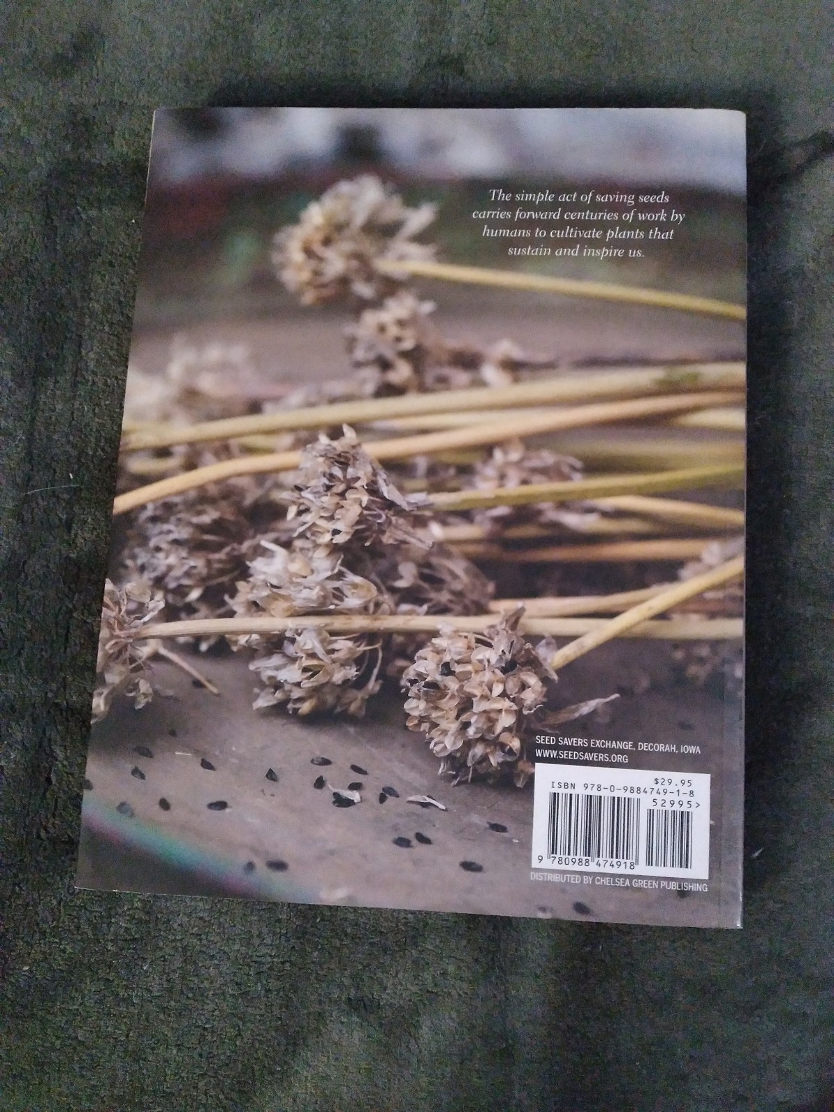 Seed Garden : The Art and Practice of Seed Saving by Jared Zystro (2015) Book