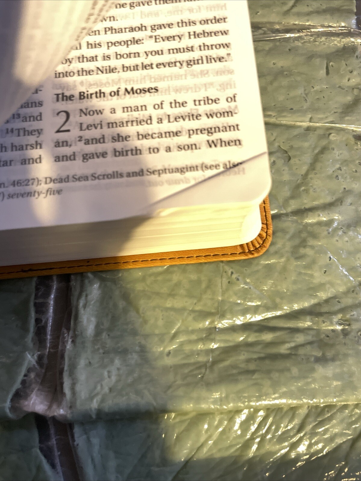 NIV Bible Large Print DuoTone Leather Soft