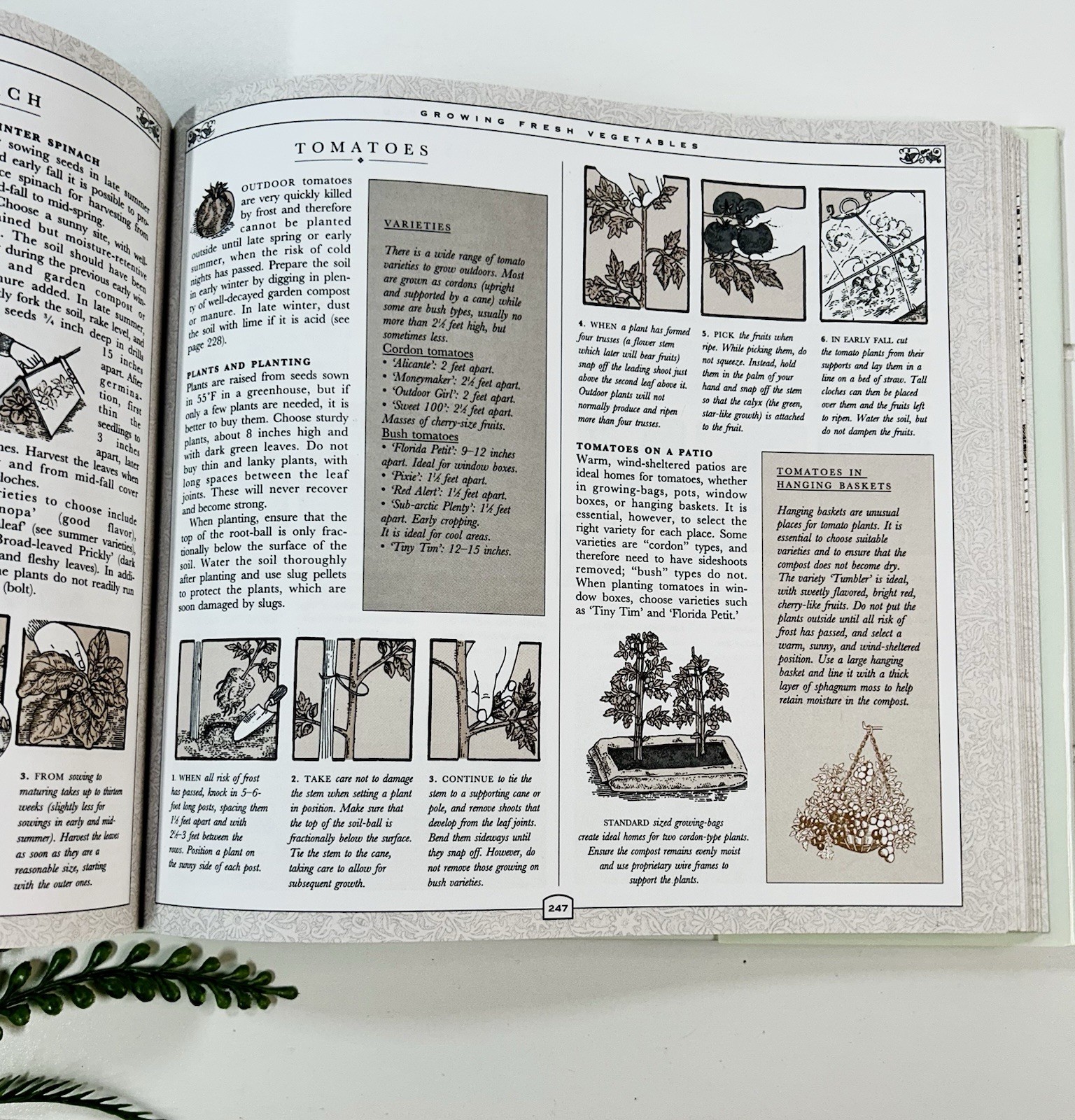 The Concise Gardening Encyclopedia ~ David Squire Flowers Roses Shrubs Trees HC