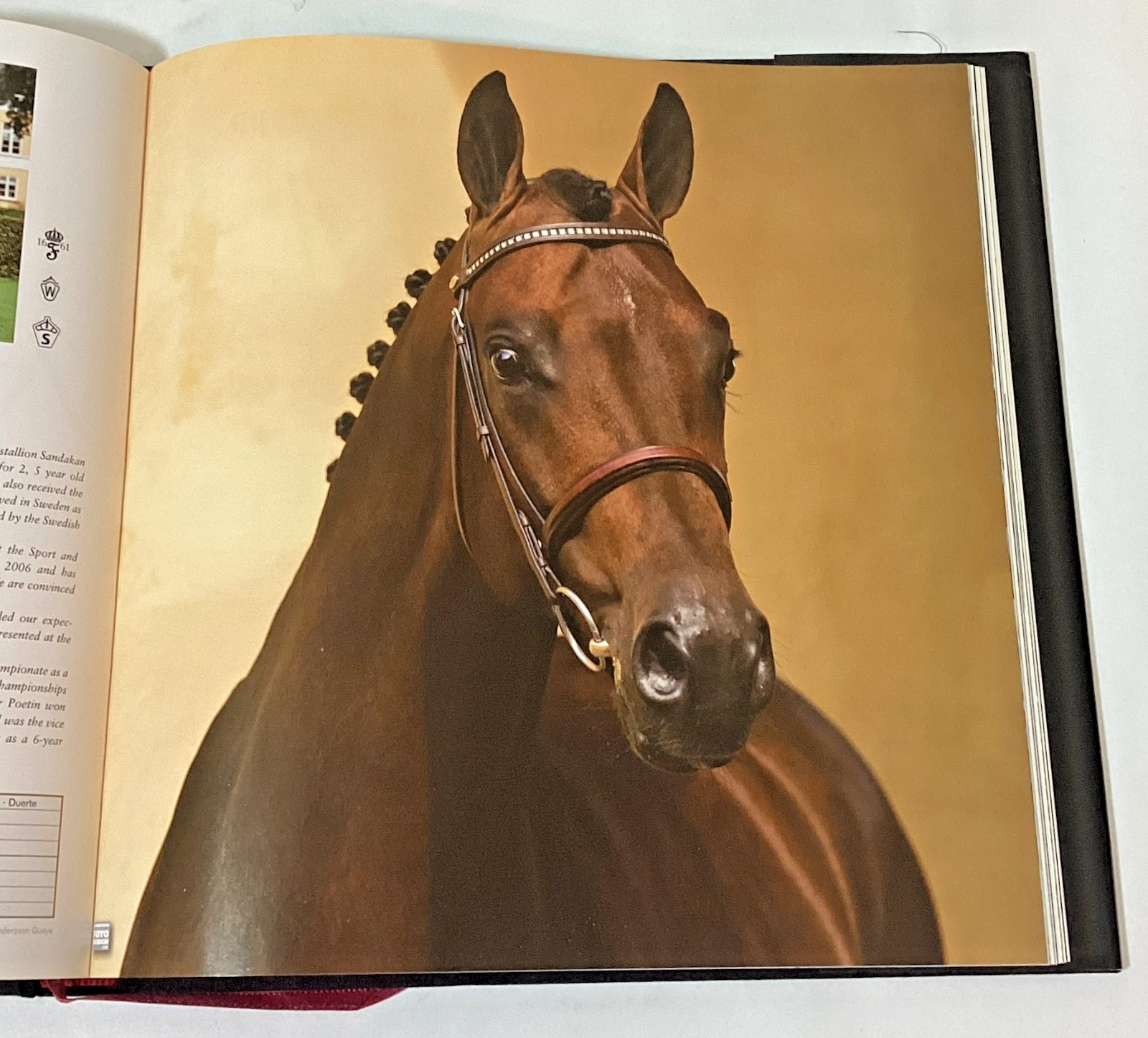 Swedish Horse Book Hingstboken: Hingstar i Svensk Varmblodsavel 2009 Hardcover