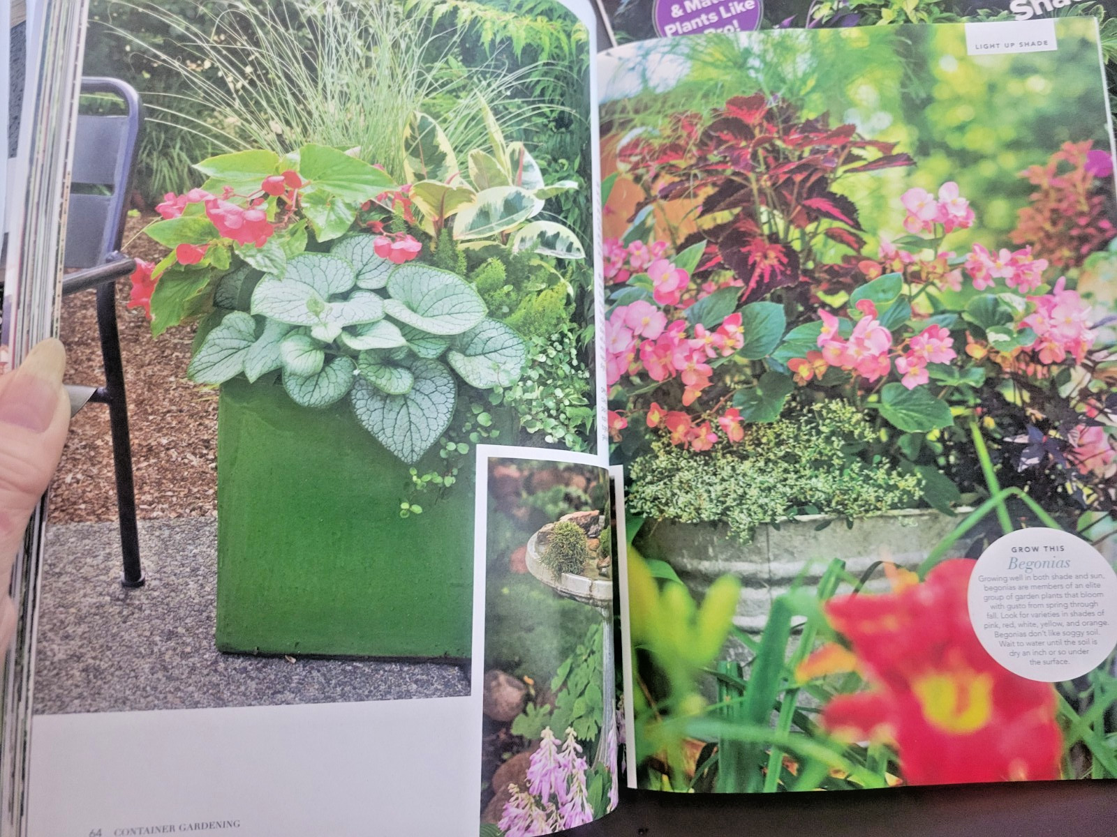 Container Gardening by BH&G – 100 Easy-Care Combos for Sun or Shade- Like A Pro