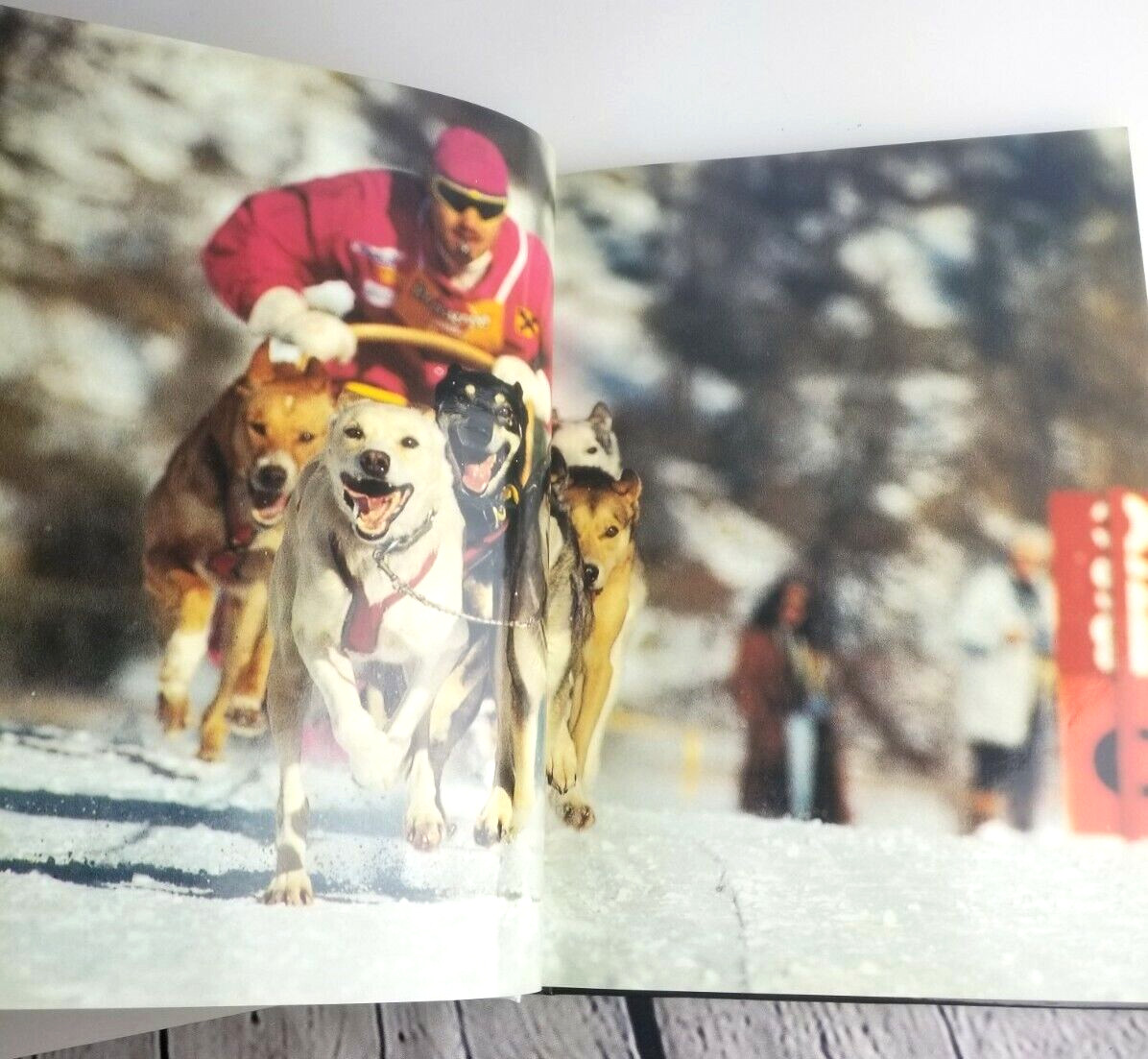 Huskies In Action By Rico Pfirstinger Husky Sled Dog Photography Non Fiction