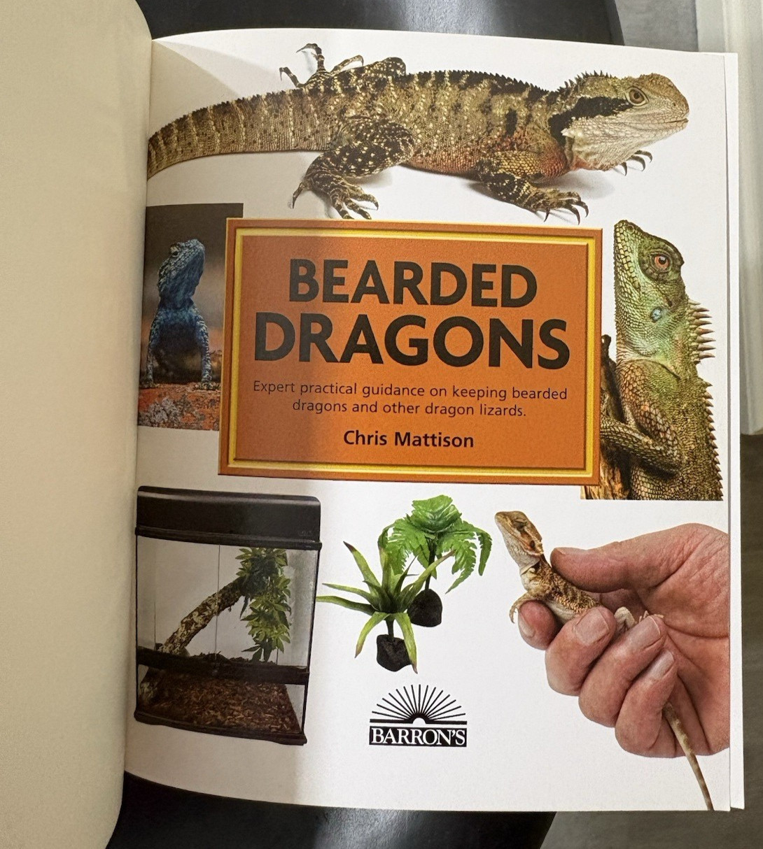 Barron’s Mini Encyclopedia Bearded Dragons Chris Mattison Paperback 2011 Illus