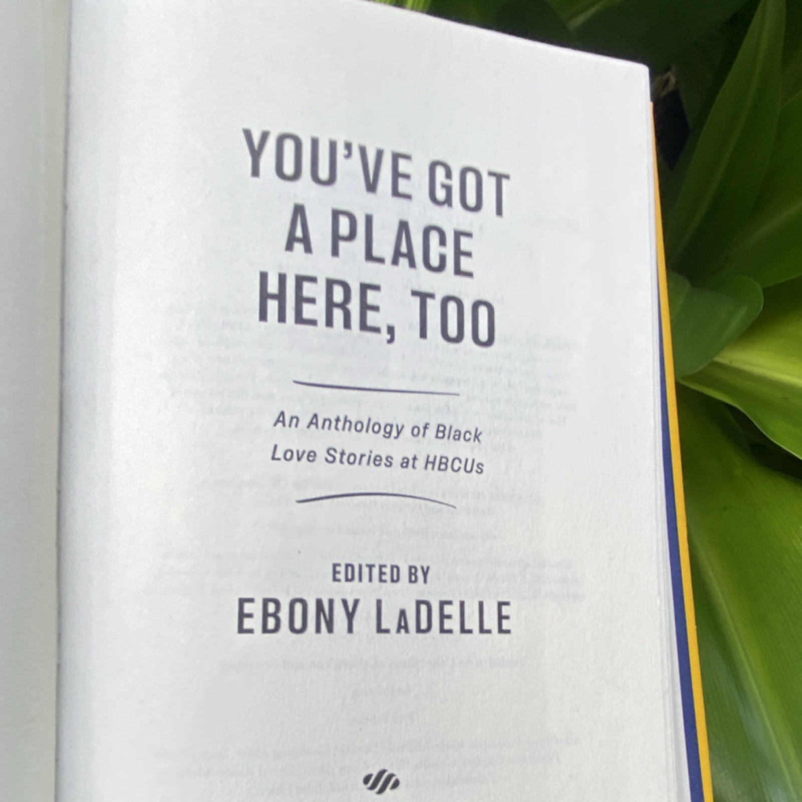 Delacorte Press You’ve Got a Place Here, Too Hardcover 1st Ed Anthology LaDelle