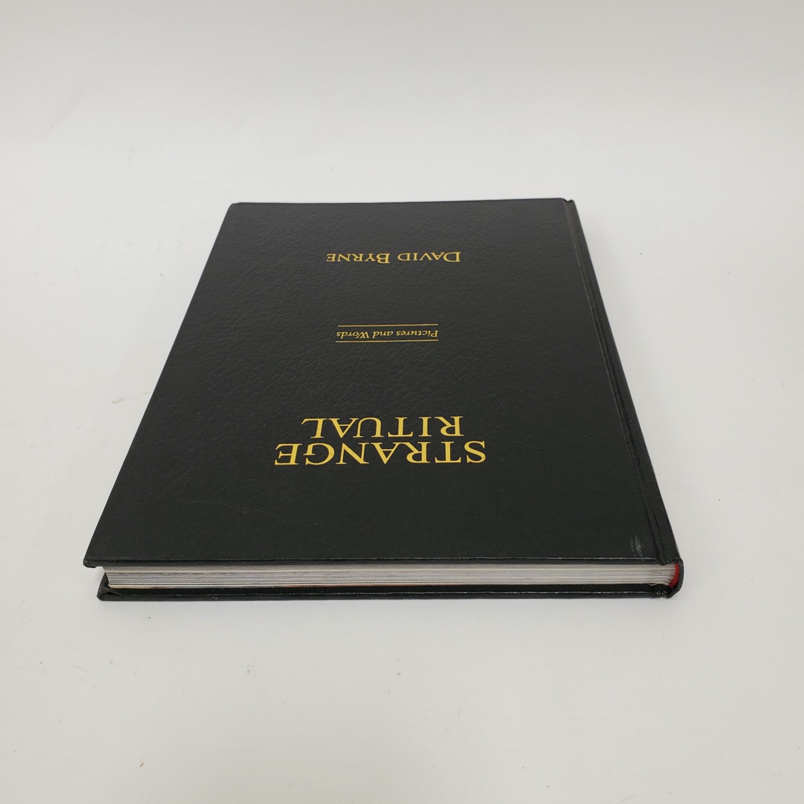 David Byrne Strange Ritual 1995 Hardcover 1st Edition Art Photo Talking Heads