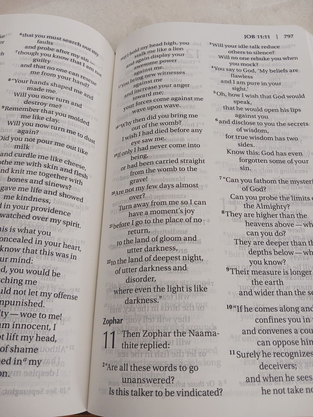 NIV Bible Large Print Lays Flat DuoTone Chocolate/Amber Leathersoft Brand New