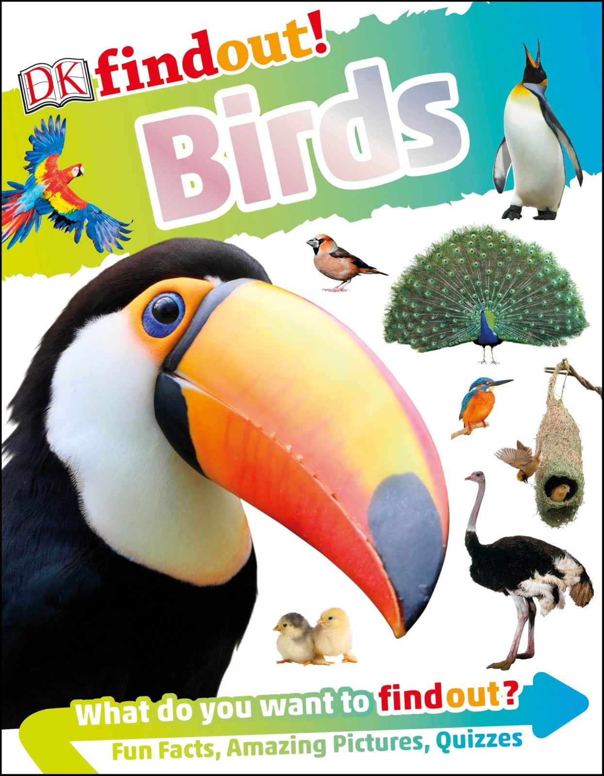 DKfindout! Birds – flexibound DK