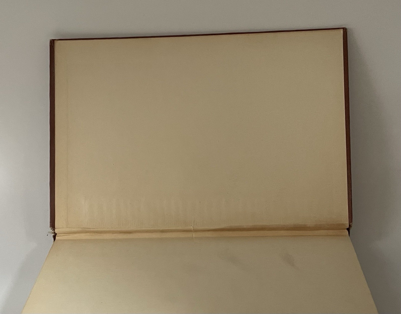 RARE Antique DeLoup American Salad Book 4th Edition Revised, pub. Doubleday 1919