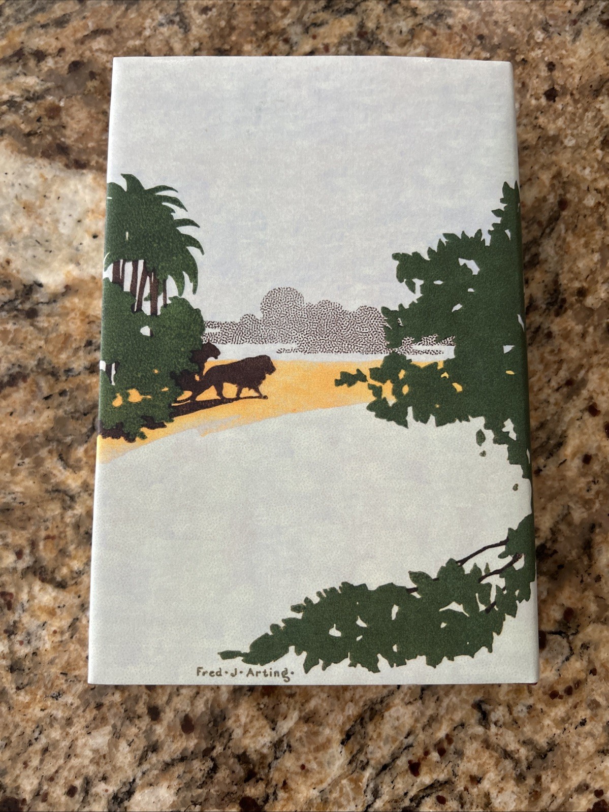 TARZAN OF THE APES Edgar Rice Burroughs American Web Books 2003 Facsimile