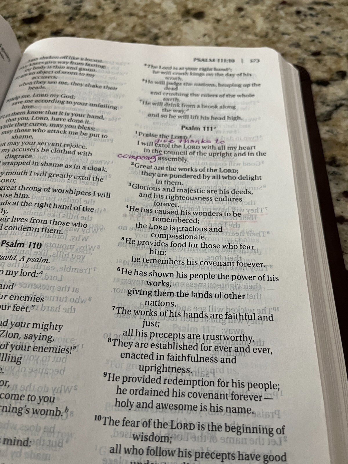 ZONDERVAN NIV HOLY BIBLE Brown Tan Leather Near Mint 2017