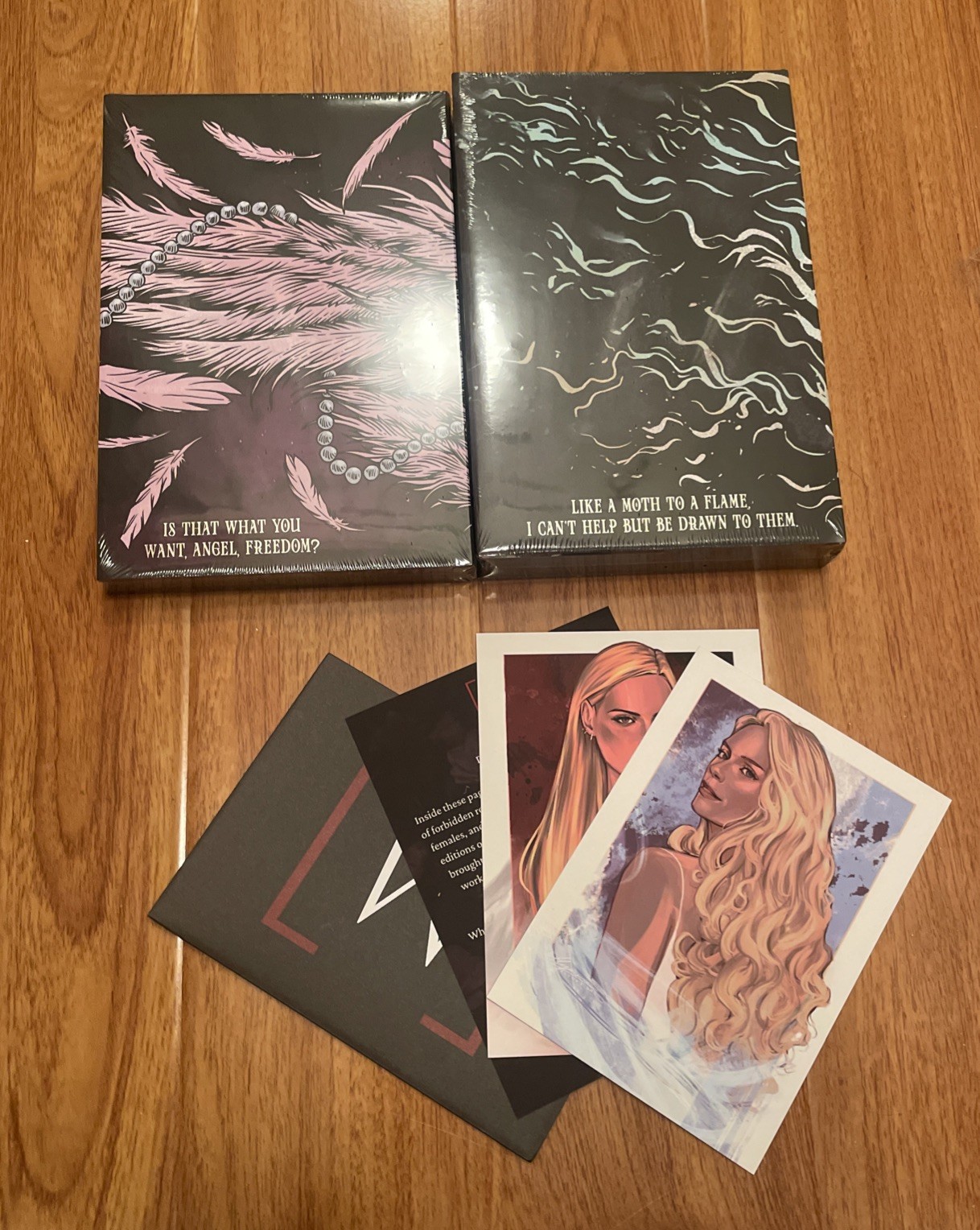 Mystic Book Box K.A Knight Daddy’s Angel & Stepbrother’s Darling Special Edition