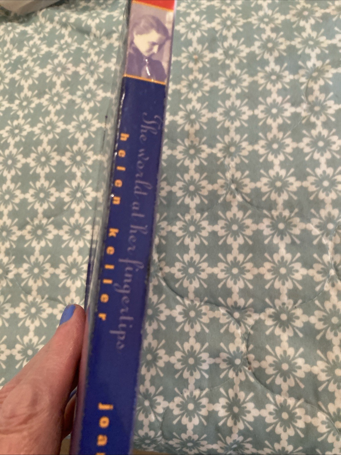 World at Her Fingertips : The Story of Helen Keller by Joan Dash (2002, Mass…