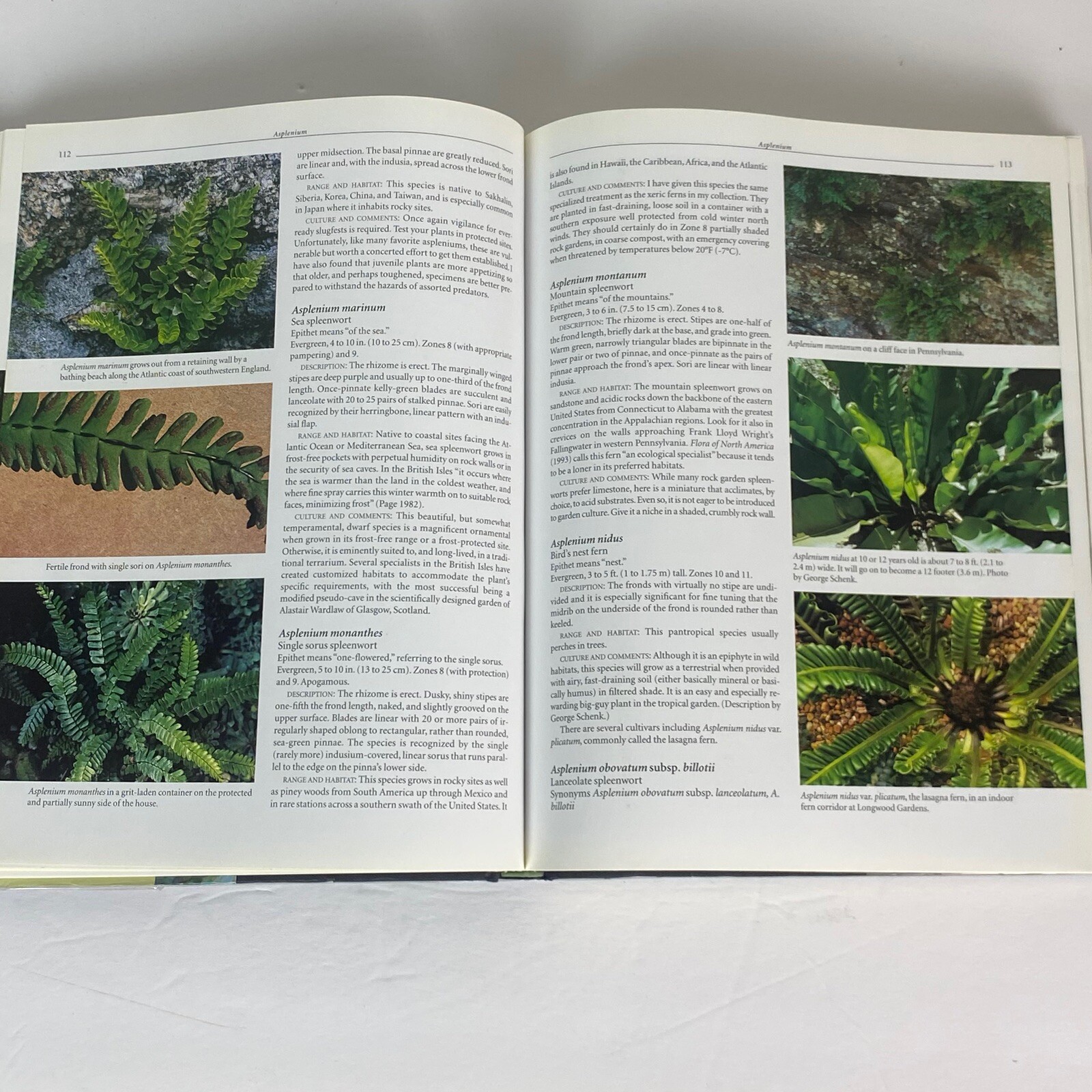 Garden Ferns Unlocked: Sue Olsens Ultimate Visual Guide to 950+ Stunning Ferns