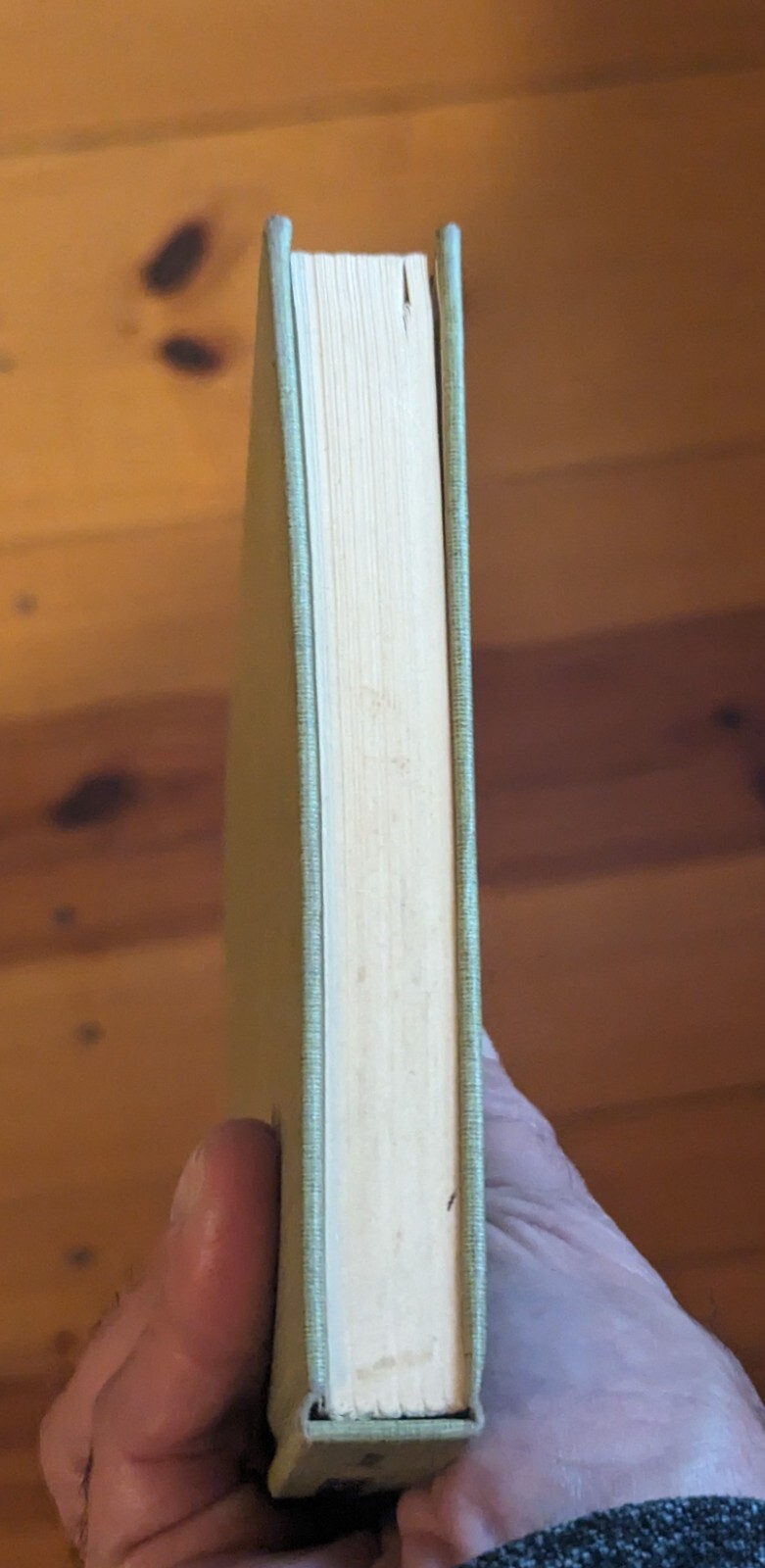 The Little Professor of Piney Woods by Beth Day-1955-1st-NY-Julian Messner-192pp