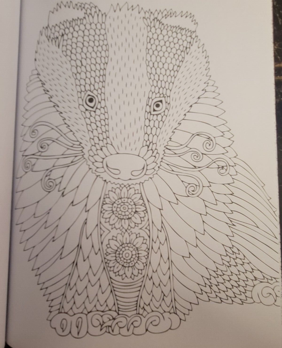COLORS OF THE WILD Vol 22 Adult Coloring Book With 47 Prints Ready To Frame