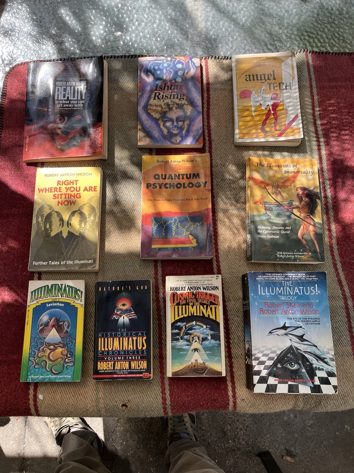 Robert Anton Wilson Book Lot