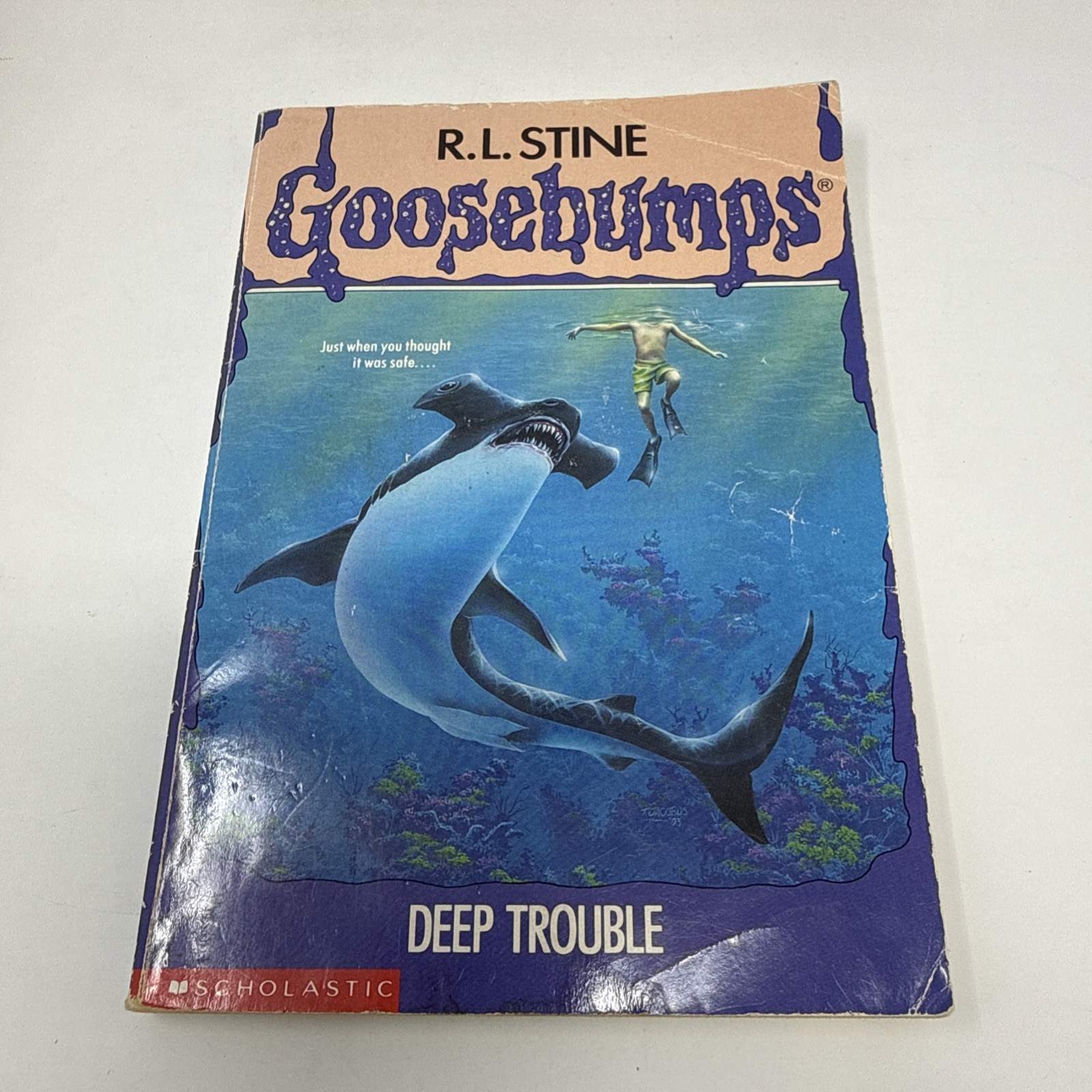 Lot of 12 VTG Goosebumps Scholastic Books 1990’s Paperbacks R L Stine Modern