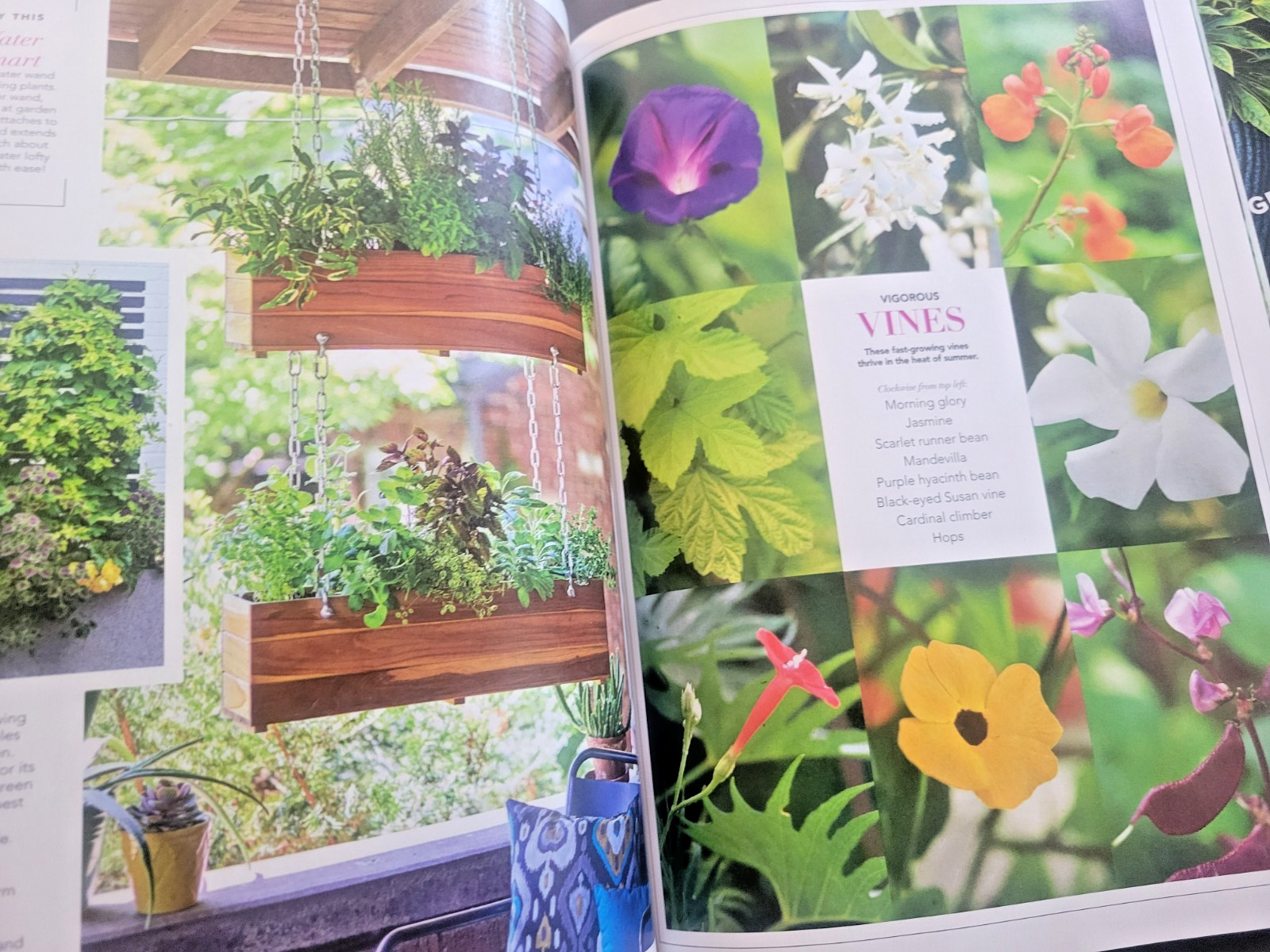 Container Gardening by BH&G – 100 Easy-Care Combos for Sun or Shade- Like A Pro