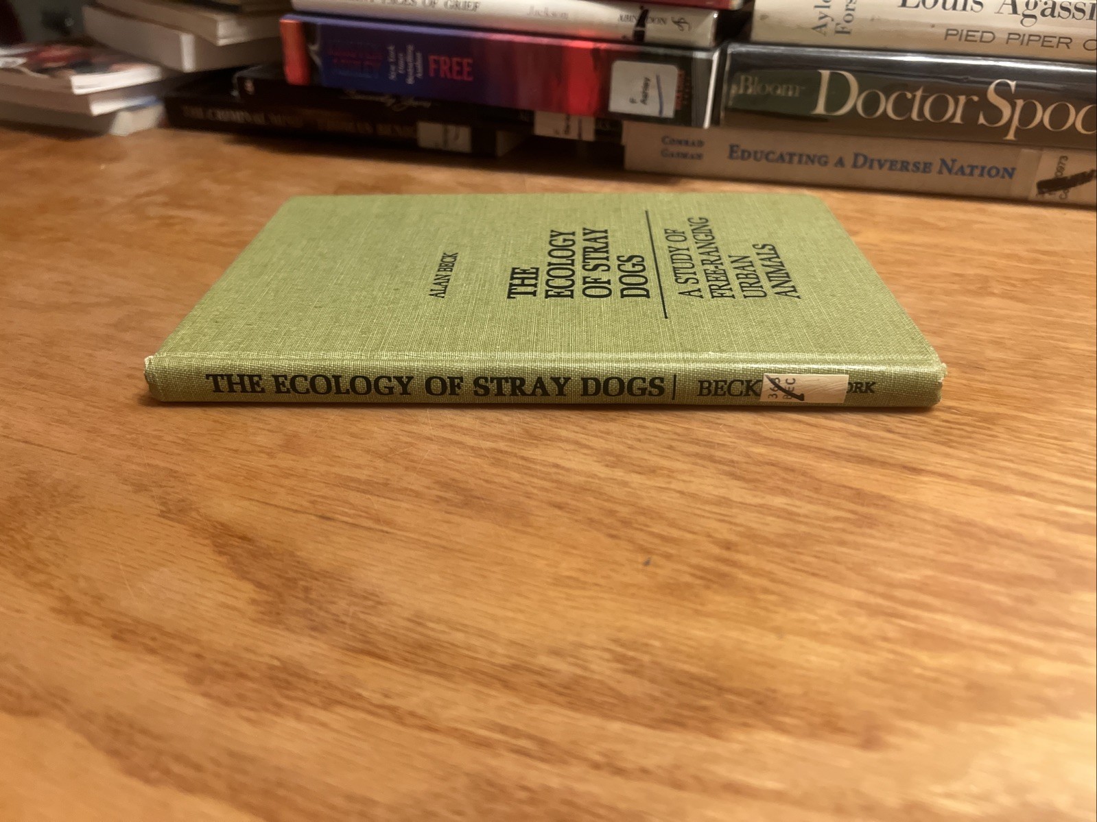 The Ecology of Stray Dogs: Study of Free-Ranging Urban Animals by Beck 1973 HC