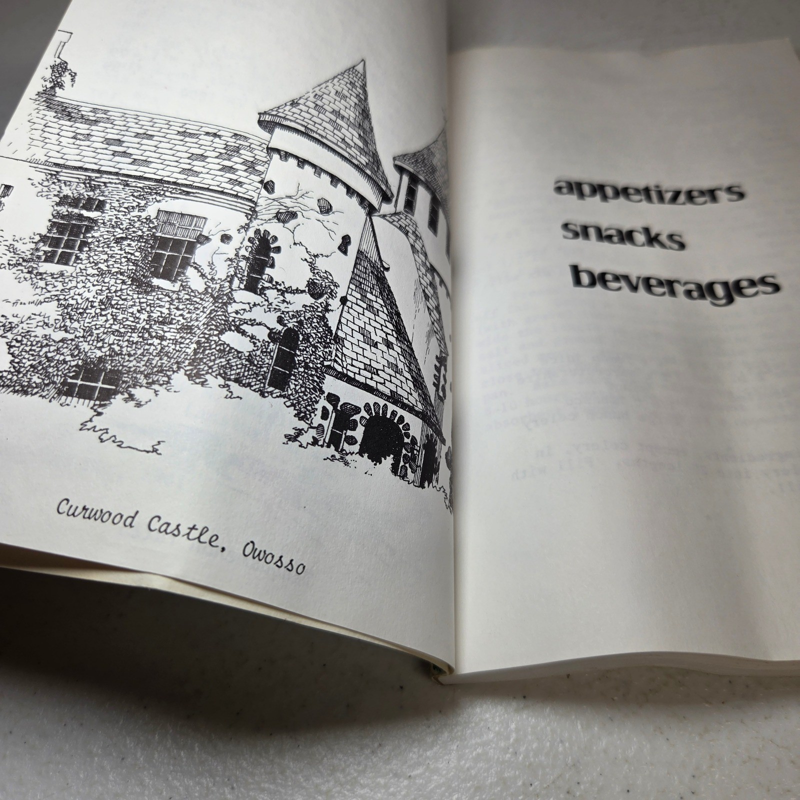 More Michigan Cooking and Other Things Carole Eberly 1st Ed 1981 Fayette Detroit