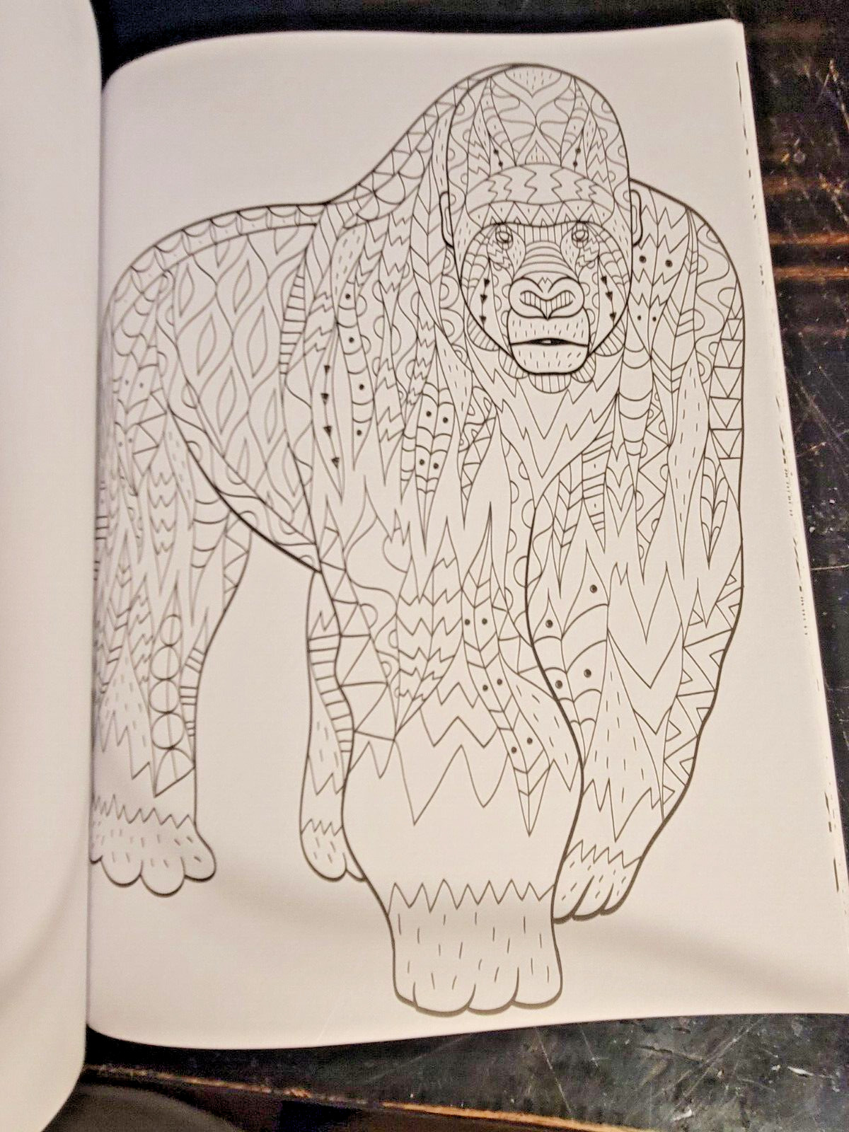 COLORS OF THE WILD! Vol. 18 Adult Coloring Book With 47 Prints Ready To Frame!
