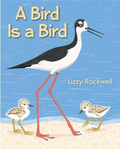A Bird is a Bird – Hardcover By Rockwell, Lizzy – GOOD