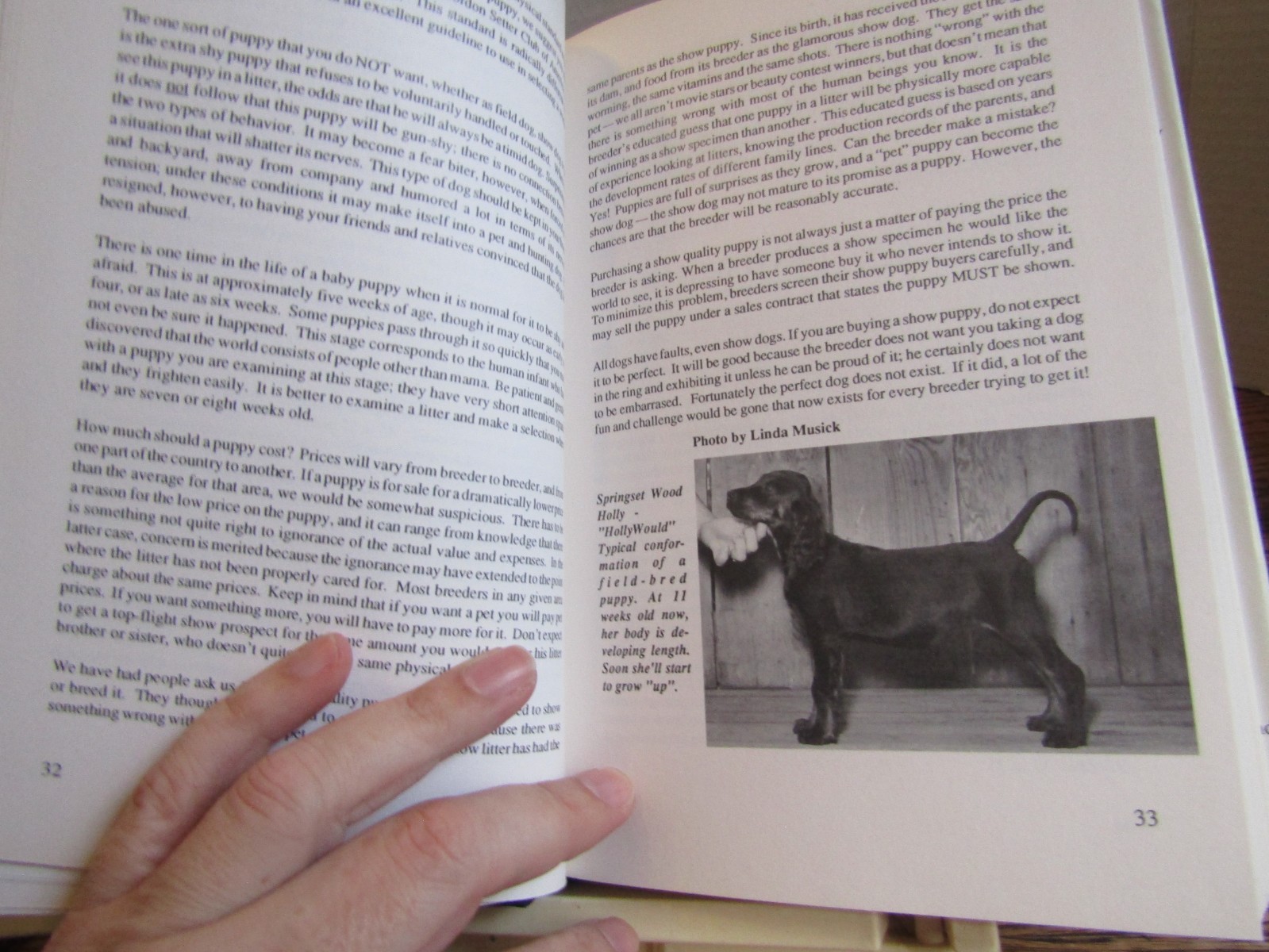 Field Gordon Setter HBDJ 1987 by Sorby 1st ed photos 366 pages VG dog care