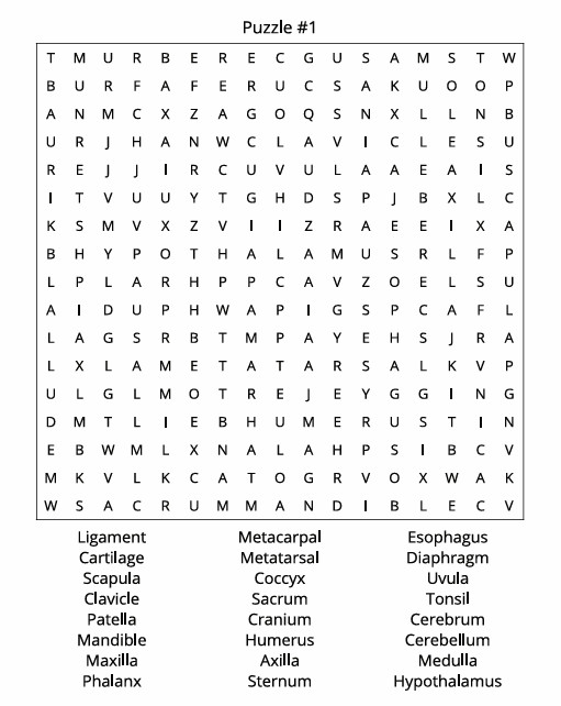 VARIETY PUZZLE BOOK 3, 8.5×11 inch | 104 puzzles, NEW
