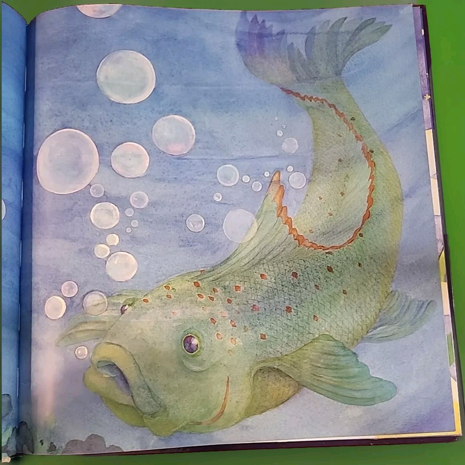 Time For Bed And Tops & Bottoms Kids Books