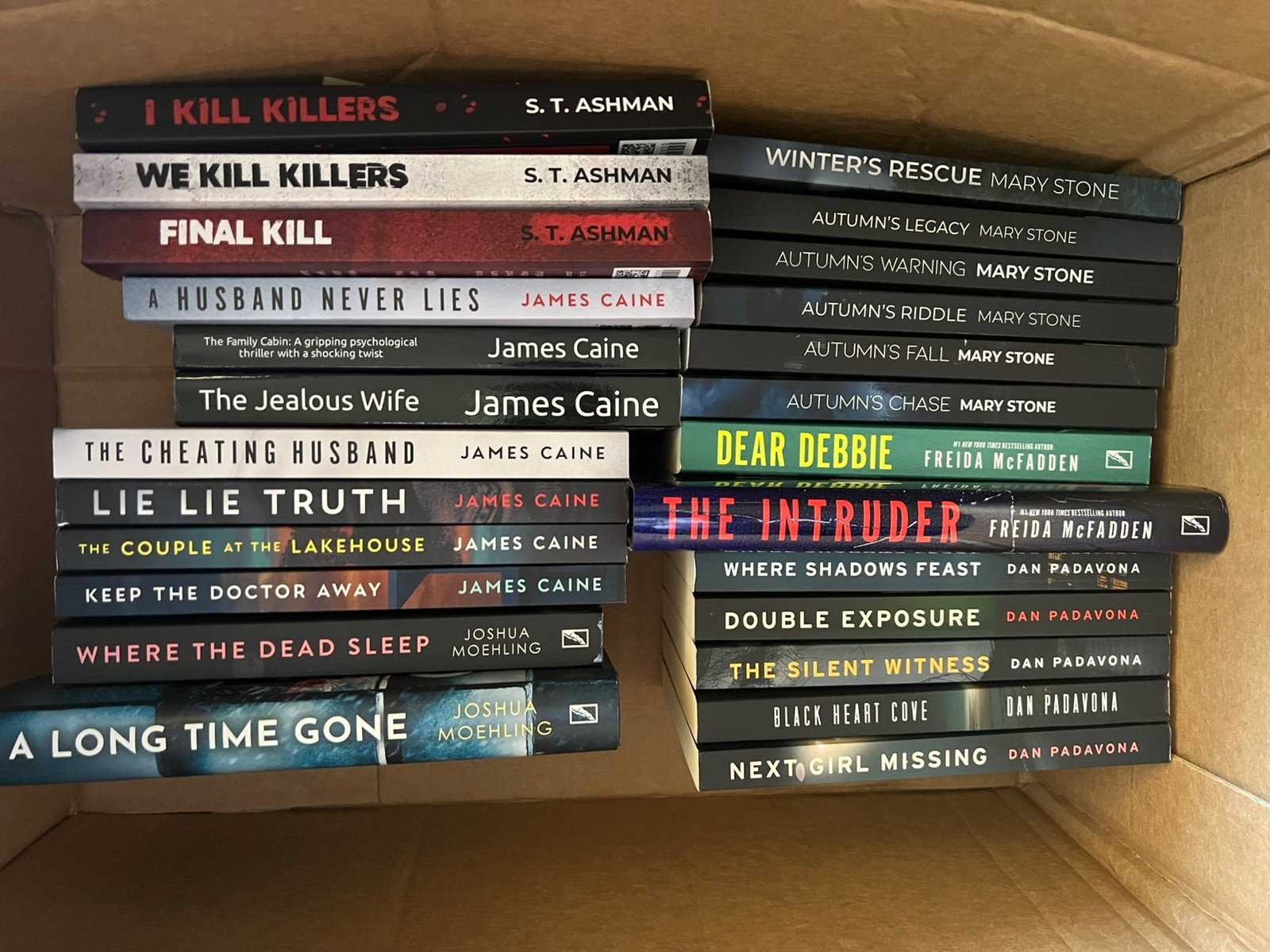 Lot of 25 Books Mystery Thriller Crime Murder McFadden Stone Padinova & more!!
