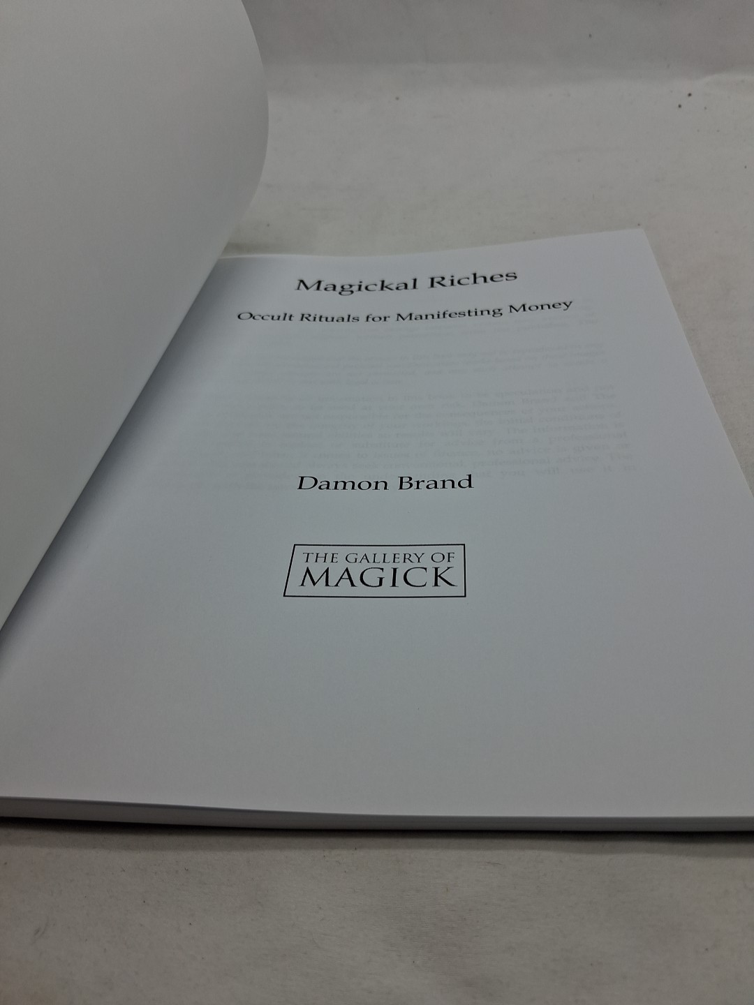 Magickal Riches: Occult Rituals For Manifesting Money by Brand, Damon