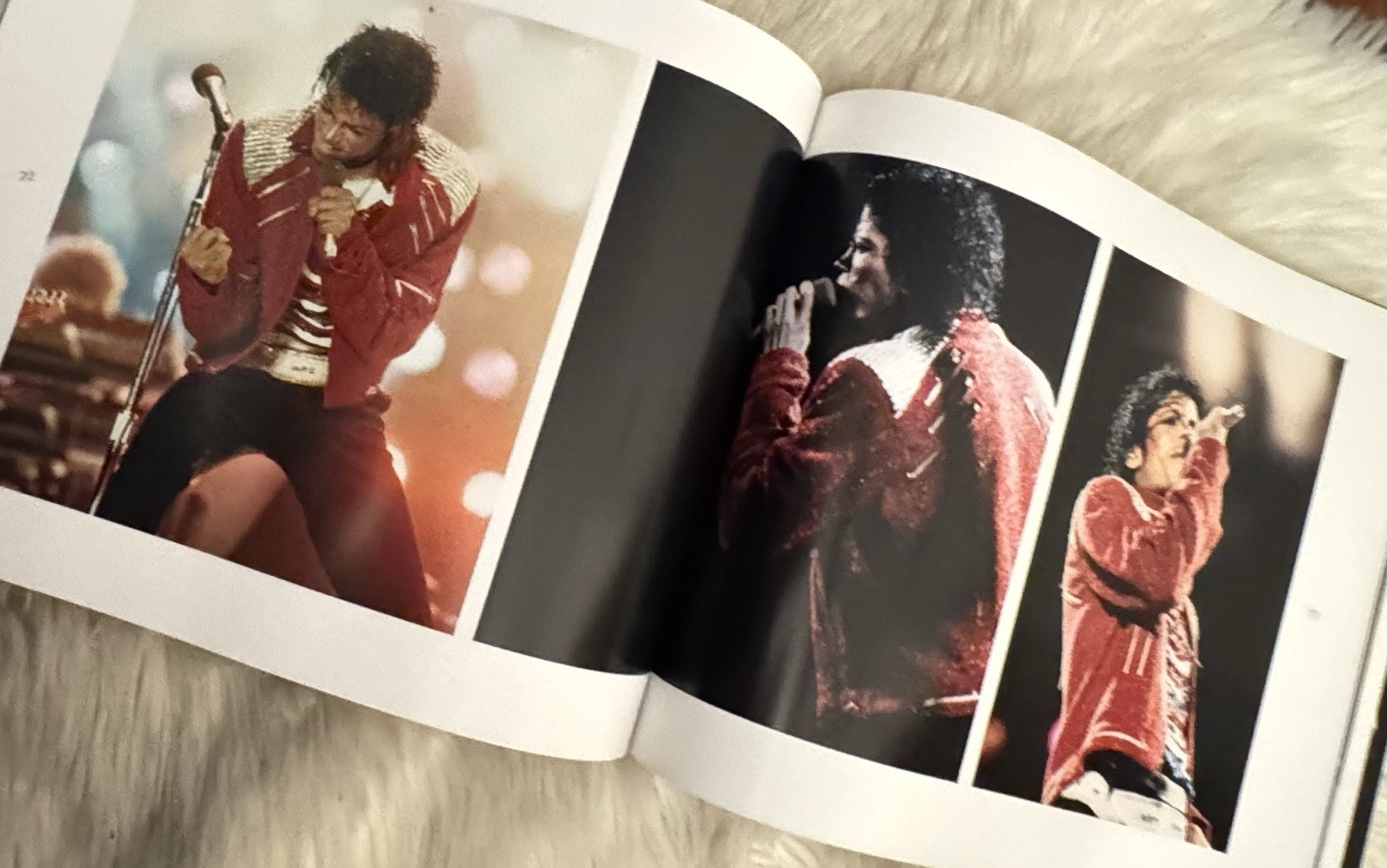 Never Can Say Goodbye: The Katherine Jackson Story by Vintage Pop Media Group