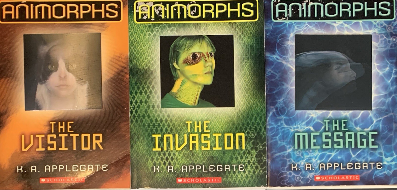 (17 sc) ANIMORPHS series K.A. Applegate fantasy YA