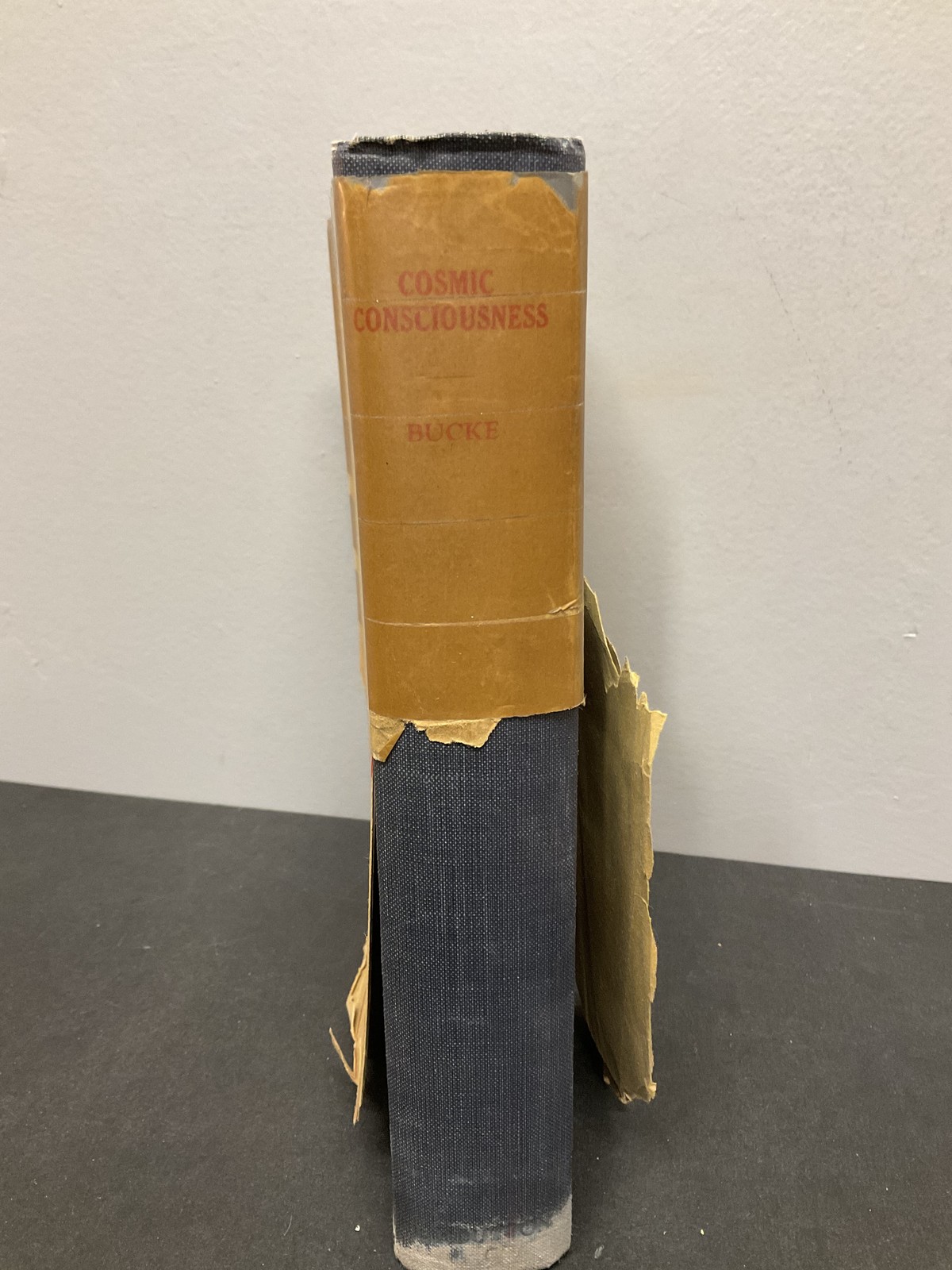 Cosmic Consciousness Richard Maurice Bucke 1926 Fifth Edition Psychology