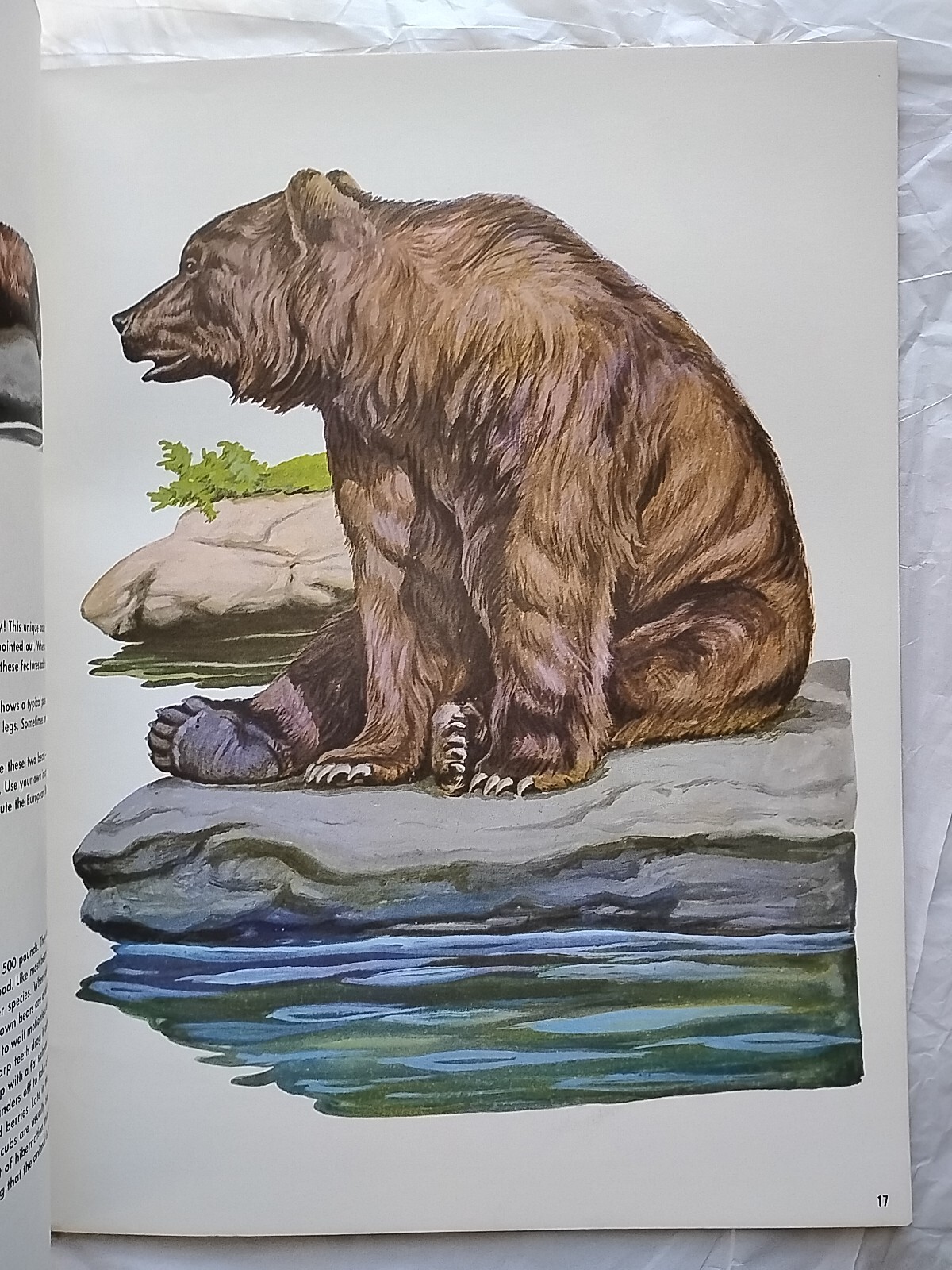 Vintage Lot of 4 Walter T. Foster Cats, Bears & Animals 13, 70, 89 & 134 (264)