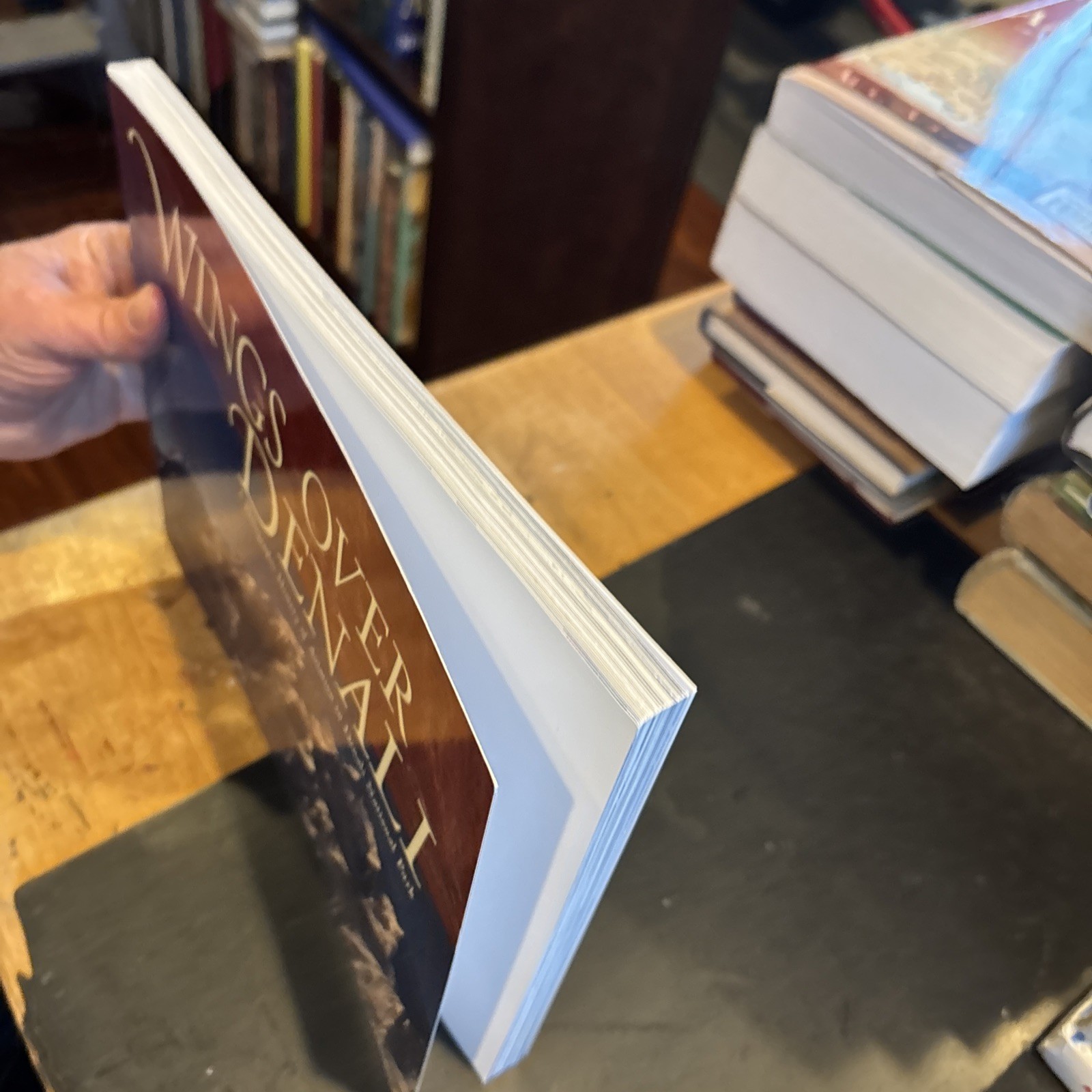WINGS OVER DENALI : PHOTO HISTORY DENALI Signed Bruce McAllister 2004 pb 1st