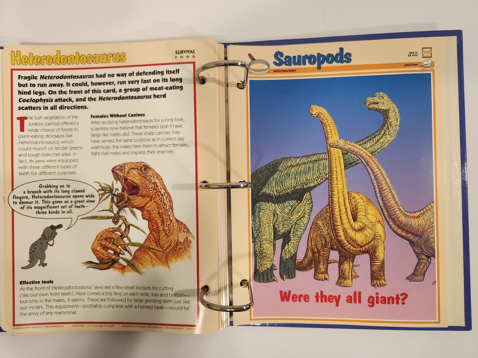 Dinosaur Cards By Newfield Publication 1994. 3 Ring Binder and 83 Pages/Inserts