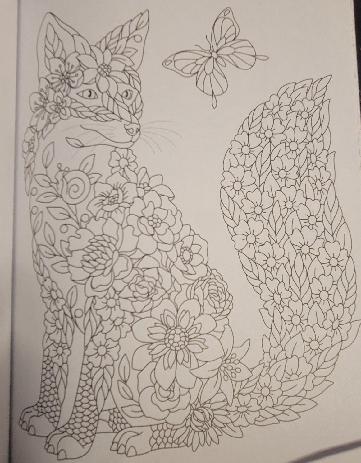 COLOR ME MAGNIFICENT Vol 12 Adult Coloring Book With 47 Prints Ready To Frame